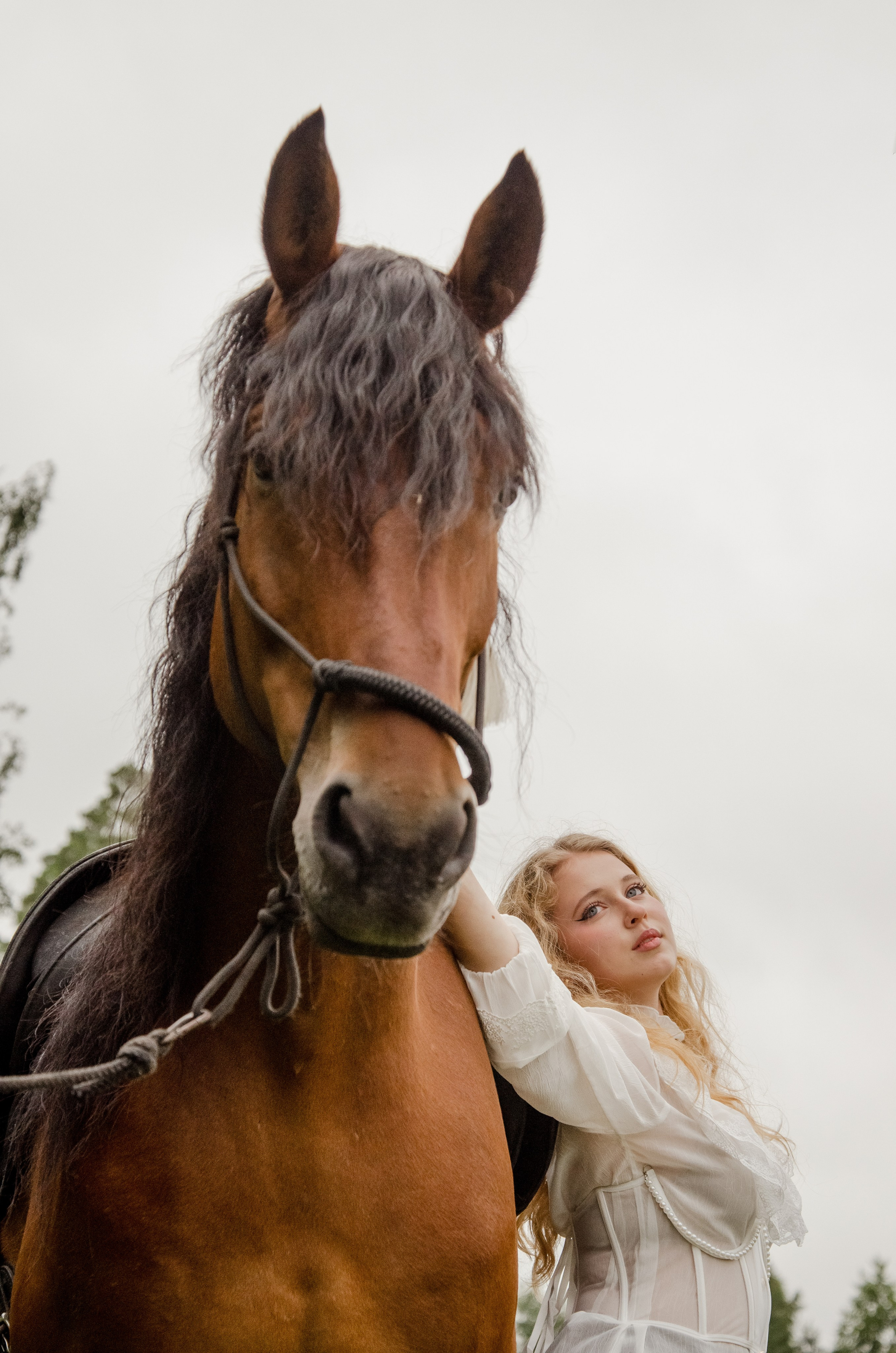 Конный Двор. Фотографы в Тюмени Андрей и Лидия Войвод