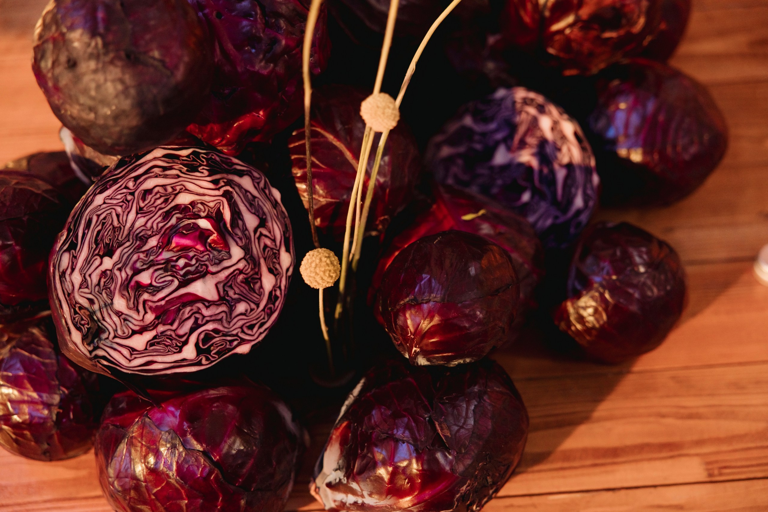 Megustro. Night2Day Санкт-Петербург