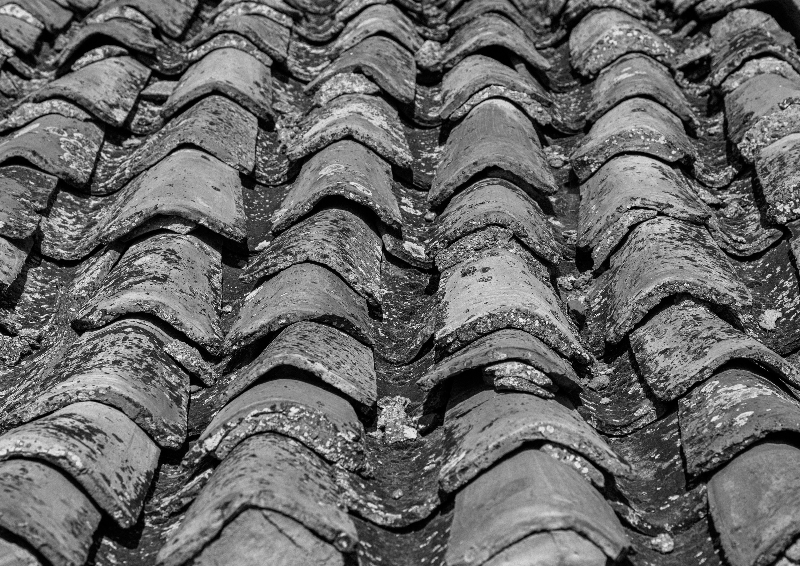 Фотовыставка. Крым в пейзажах и символах как история РФ