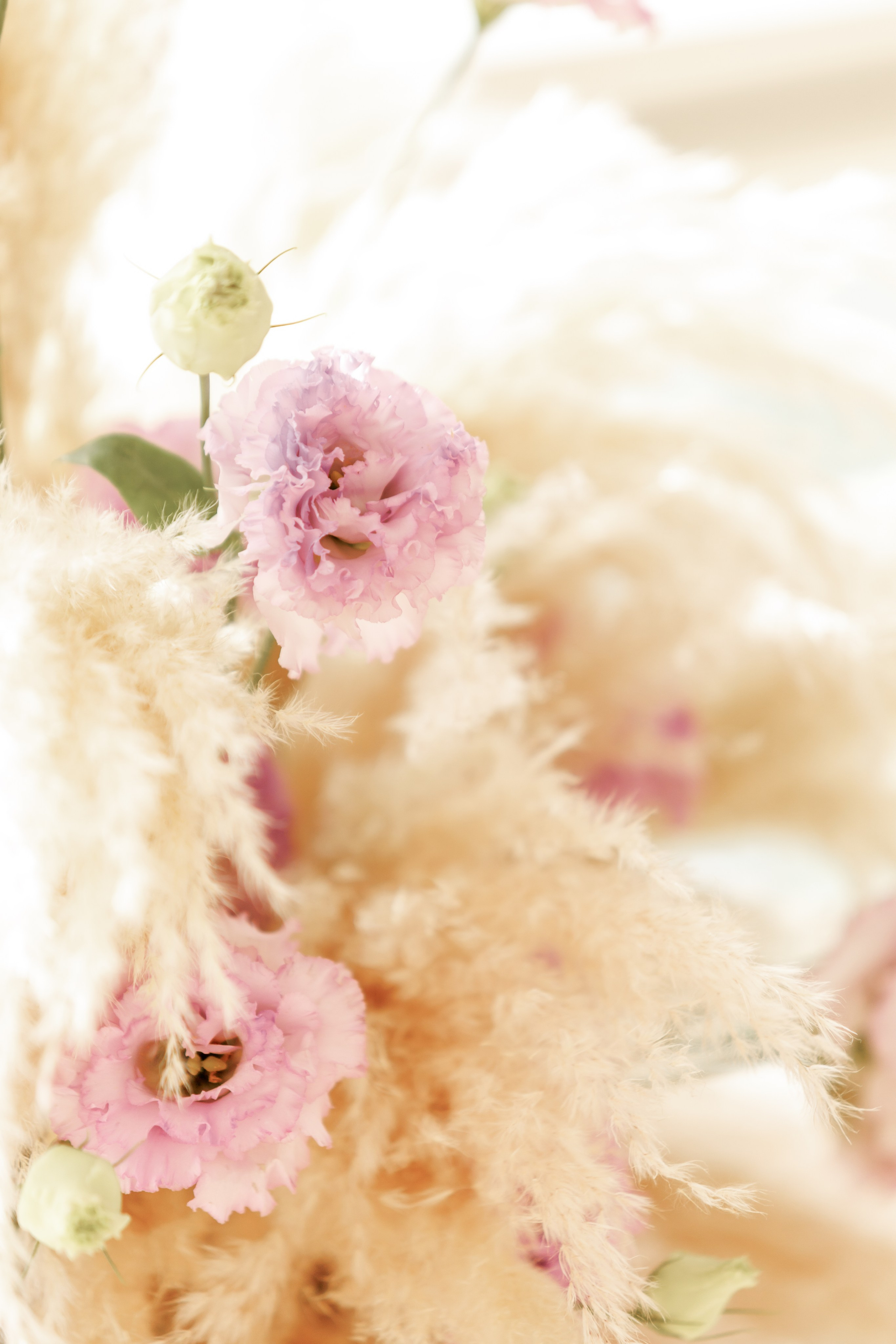 Дарья и Хариз. Фотограф Москва. Репортажная съемка, портрет, бизнес-портрет