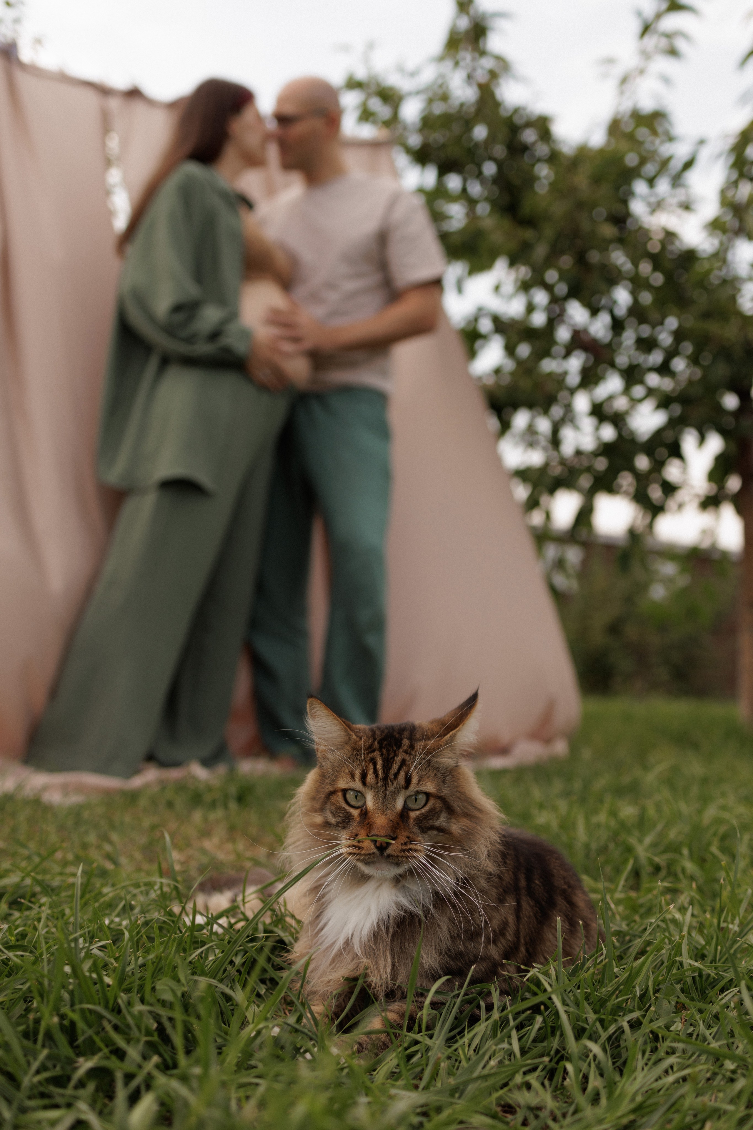 На закате одного прекрасного вечера. Фотограф Софья Гречка