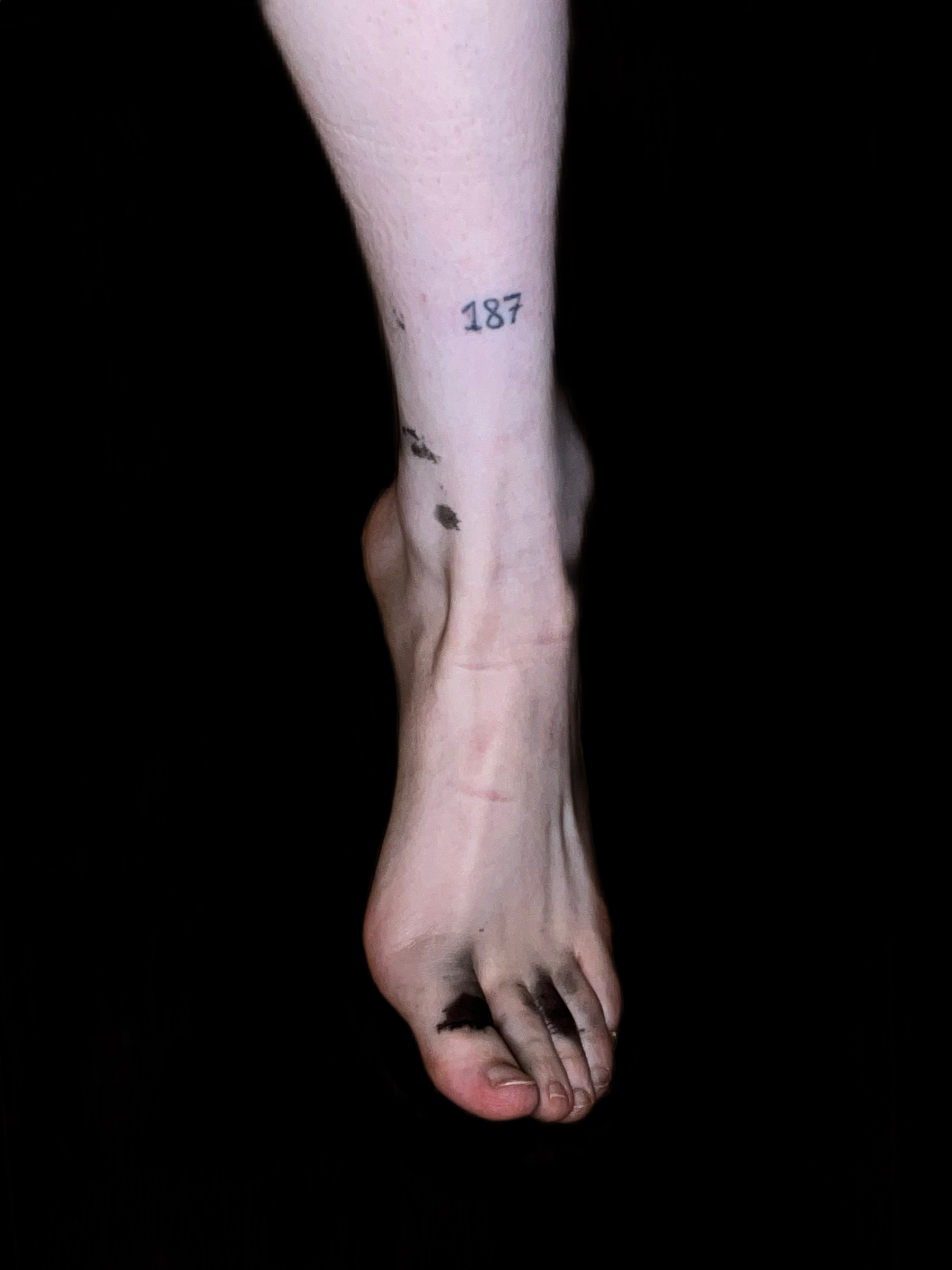 Муха. Портфолио