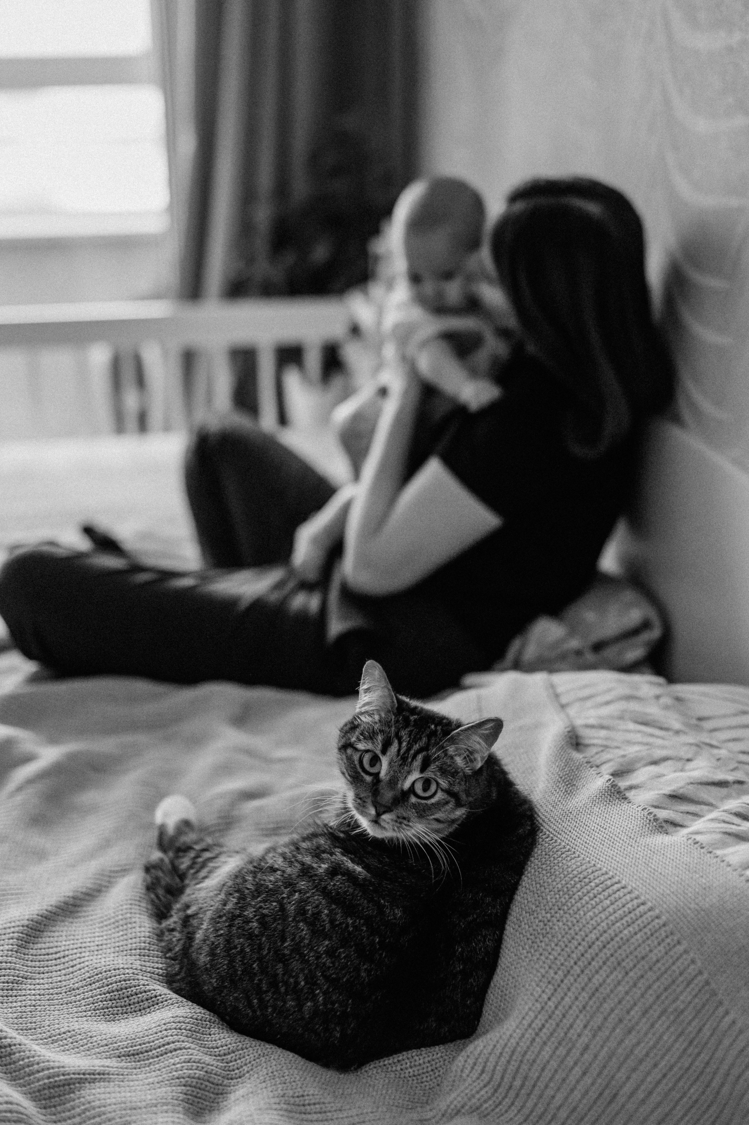 Агата, Катя, Руслан. Свадебный фотограф, фотограф беременности Дарья Доценко