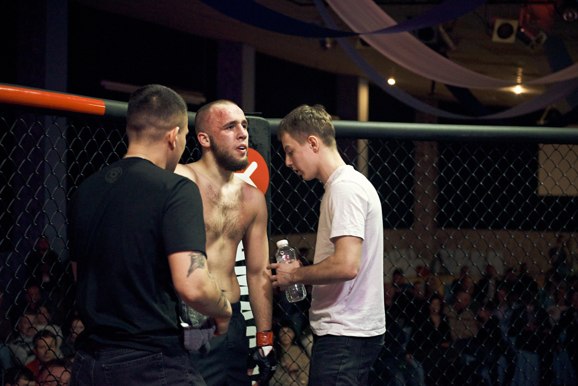 Бои. Маляревич Дмитрий свадебный фотограф