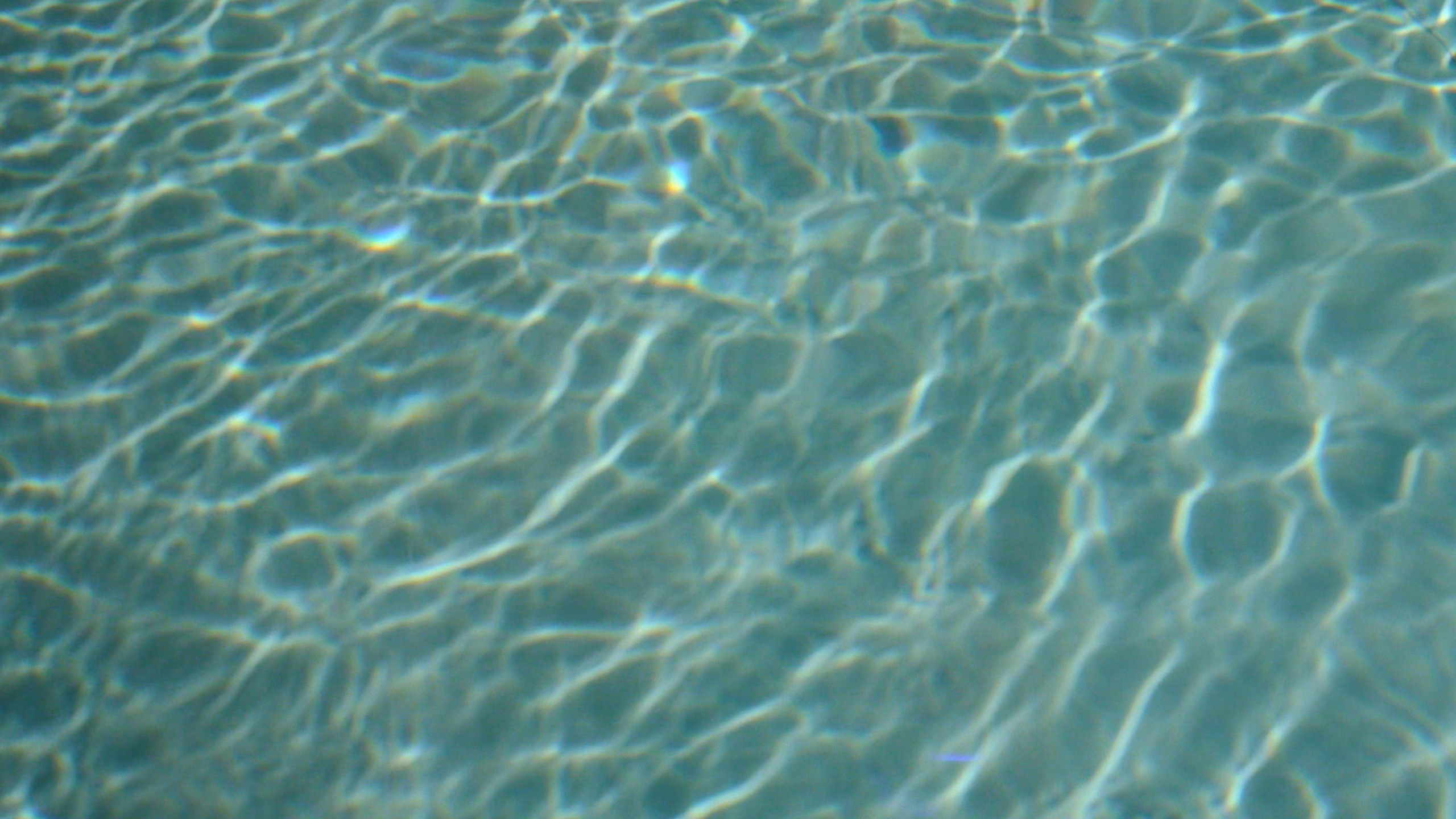 Сергей и Татьяна. Агата Акварель видеограф Сочи Краснодар