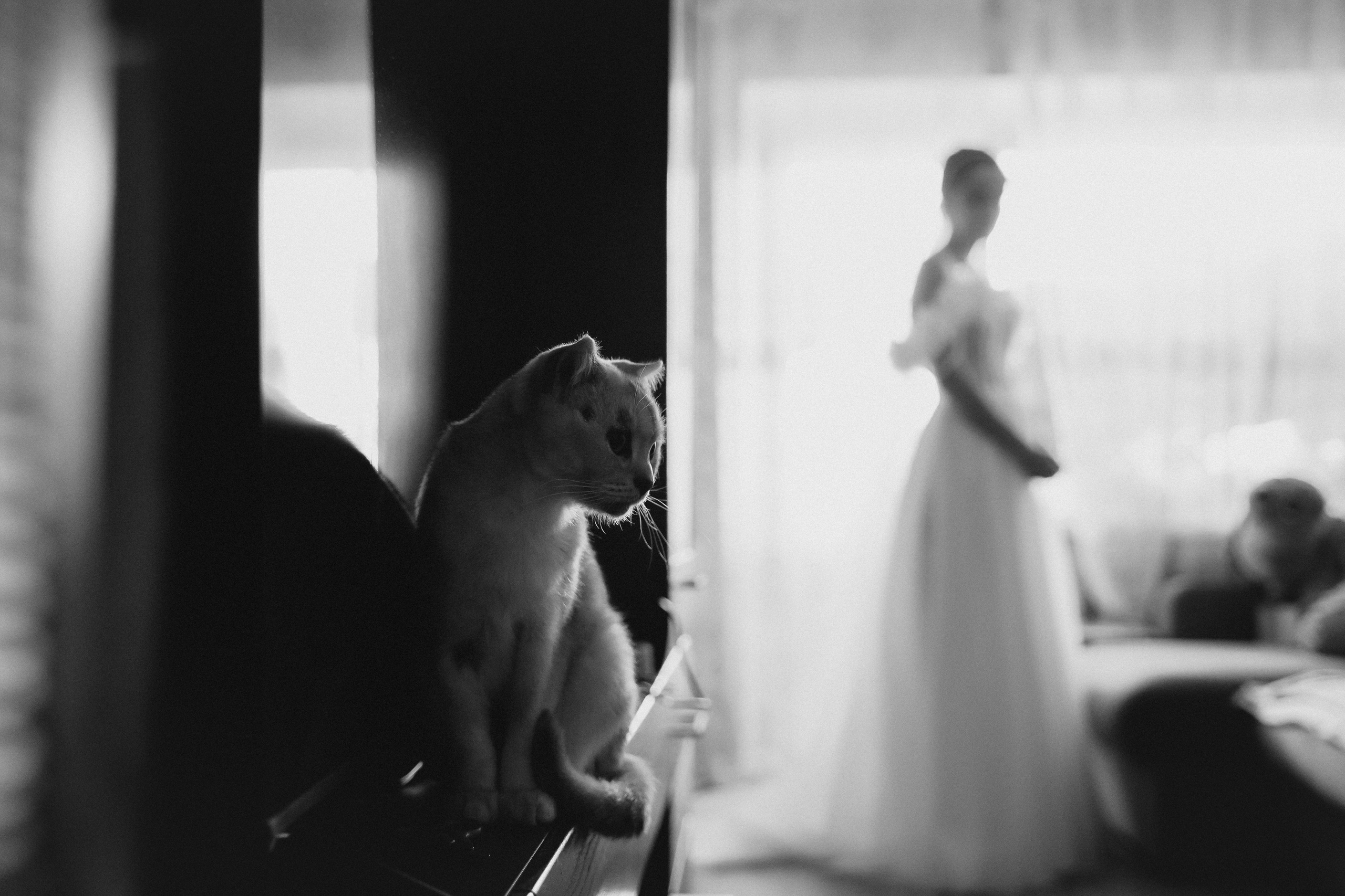 Наталья & Егор. Фотосъемка и видеосъемка свадеб Липецк