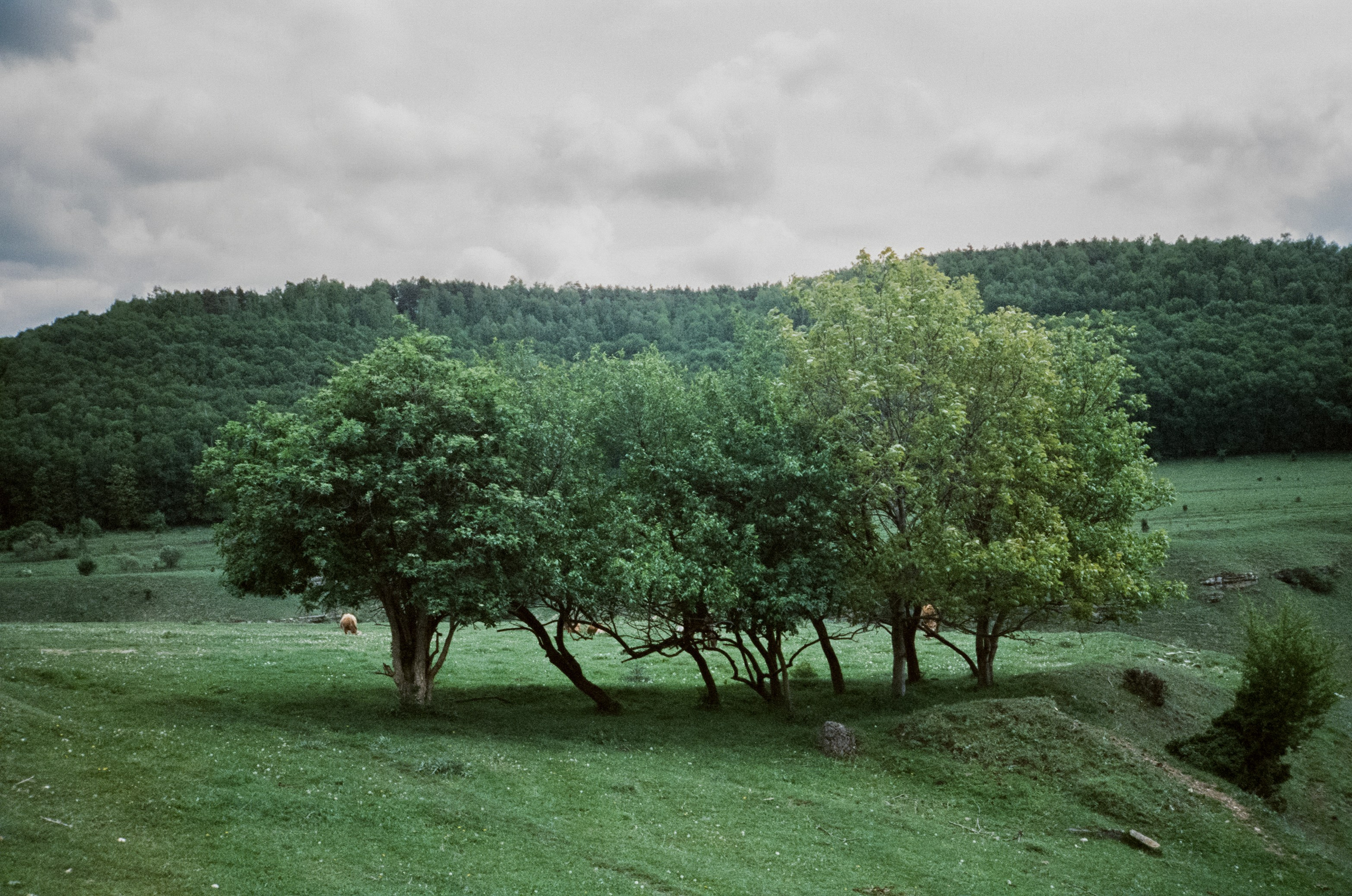 Кавказские Минеральные Воды | май 2024