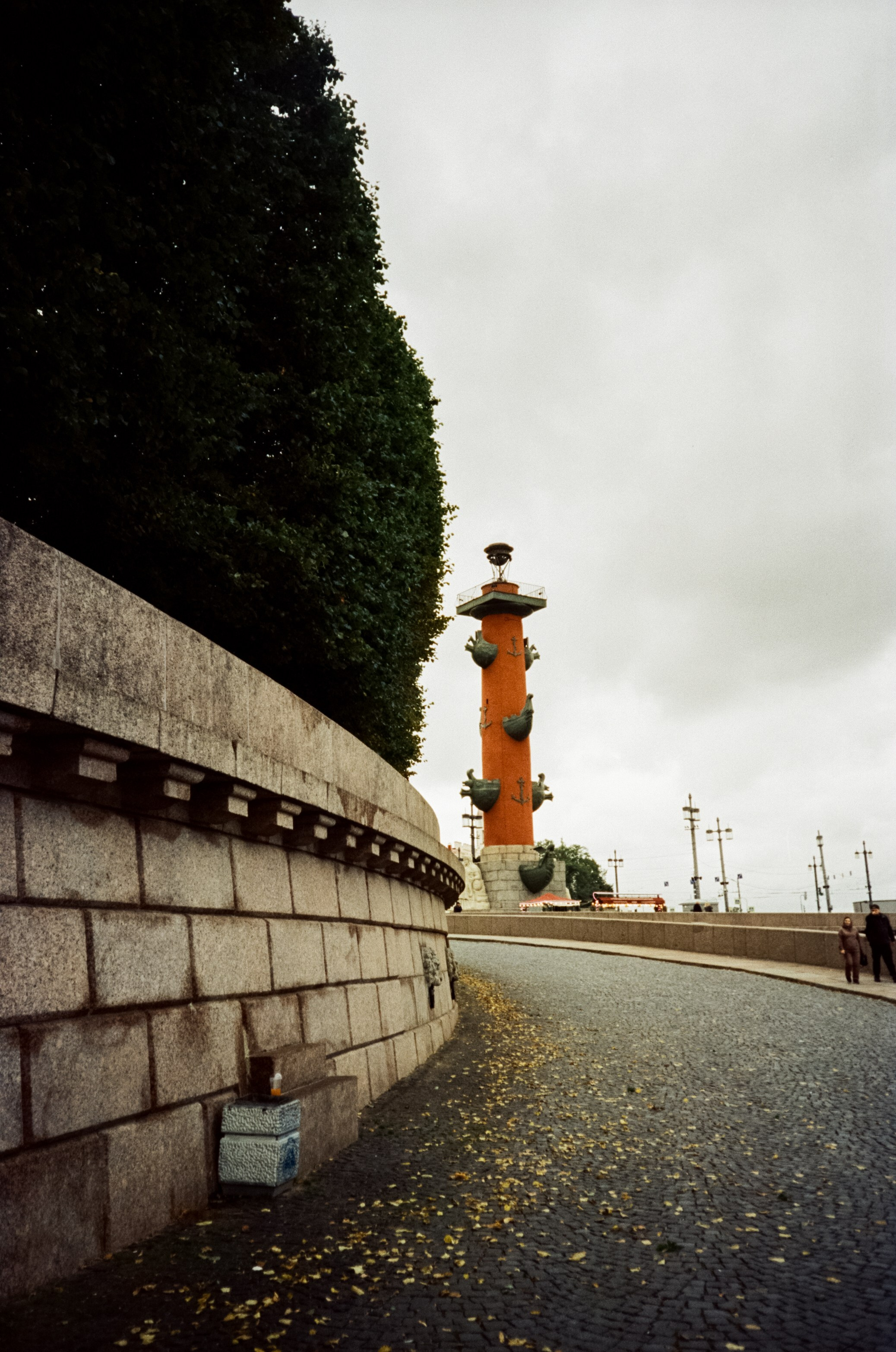 SFL 250D (Kodak Vision 3 250D) примеры фотографий