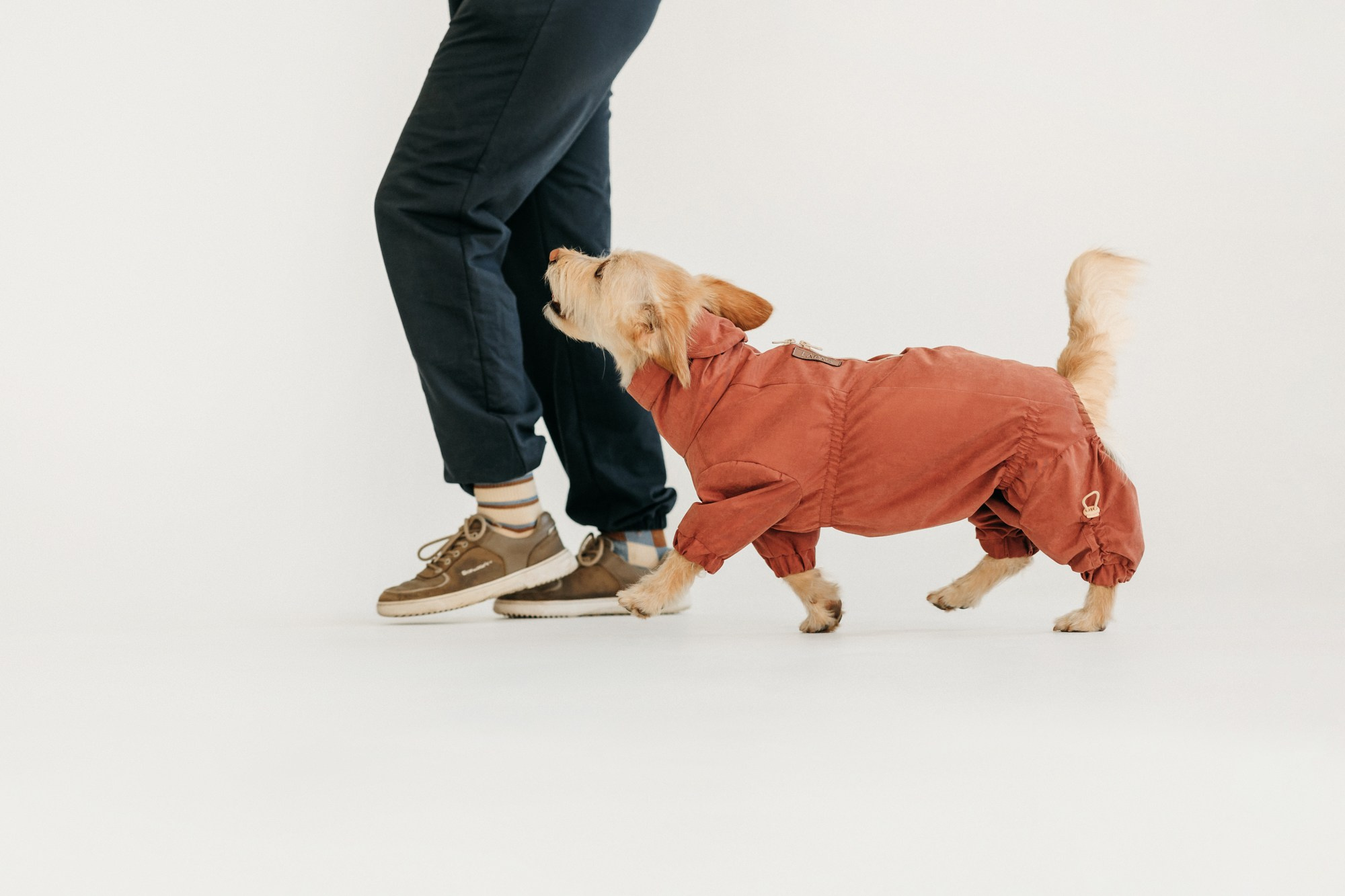 Одежда Lapa`s brand. Фотограф-анималист Елена Радченко, Москва