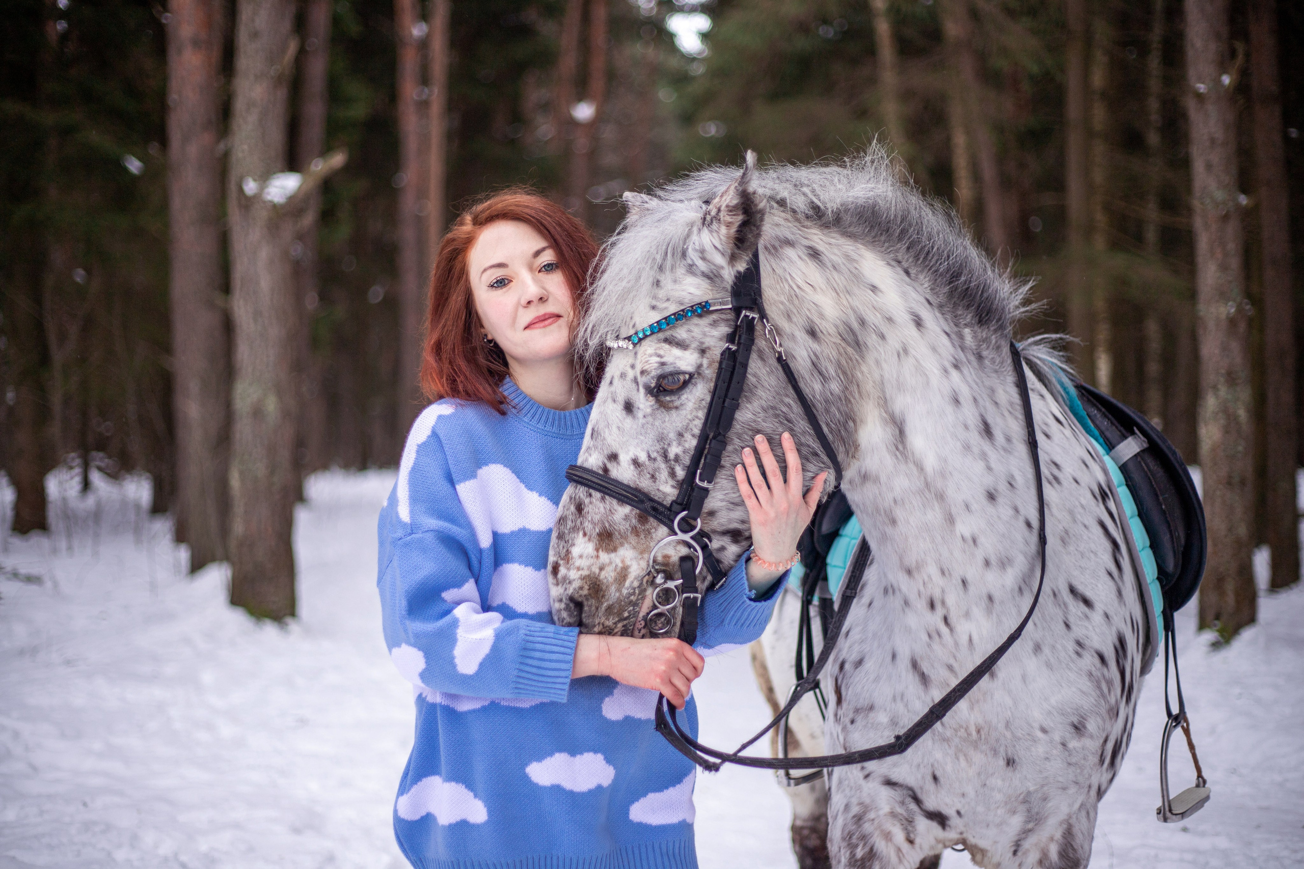 Фотосессии с лошадьми. Фотосессии с лошадьми в Москве и МО