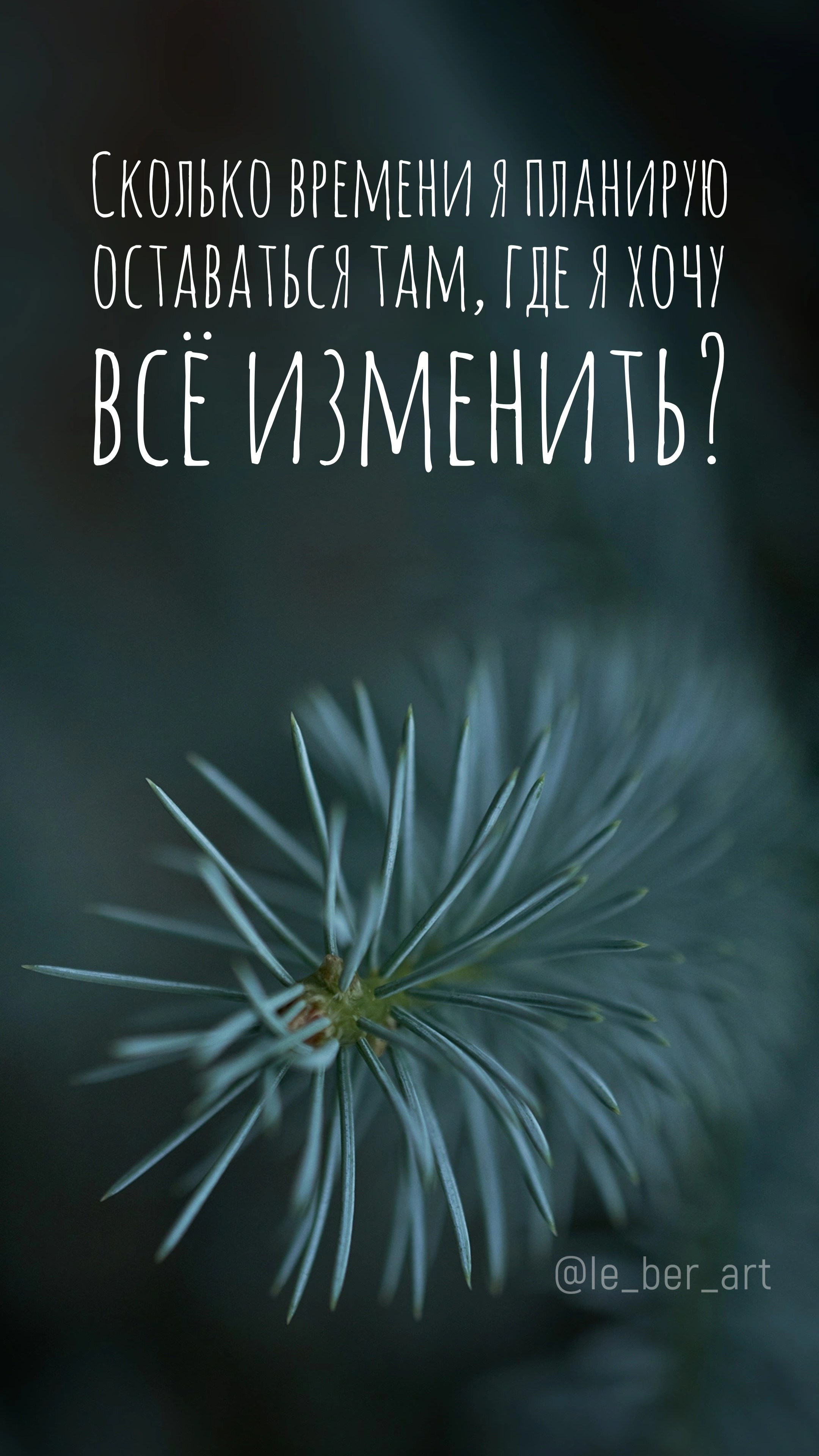 Заставки на телефон. Елена Берсенева, фотограф