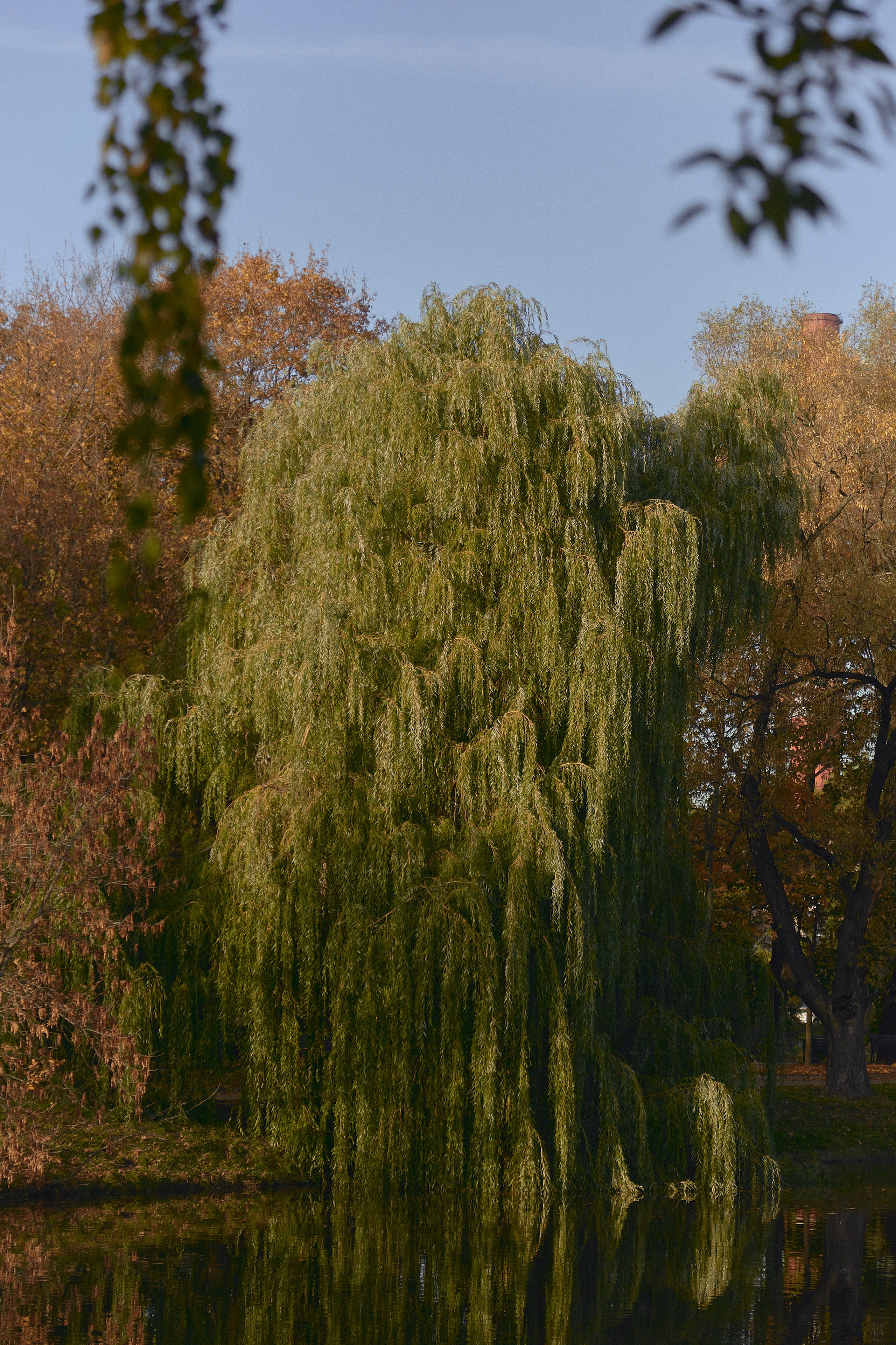 Даша Ромашка. Egor Plakhotin Photography