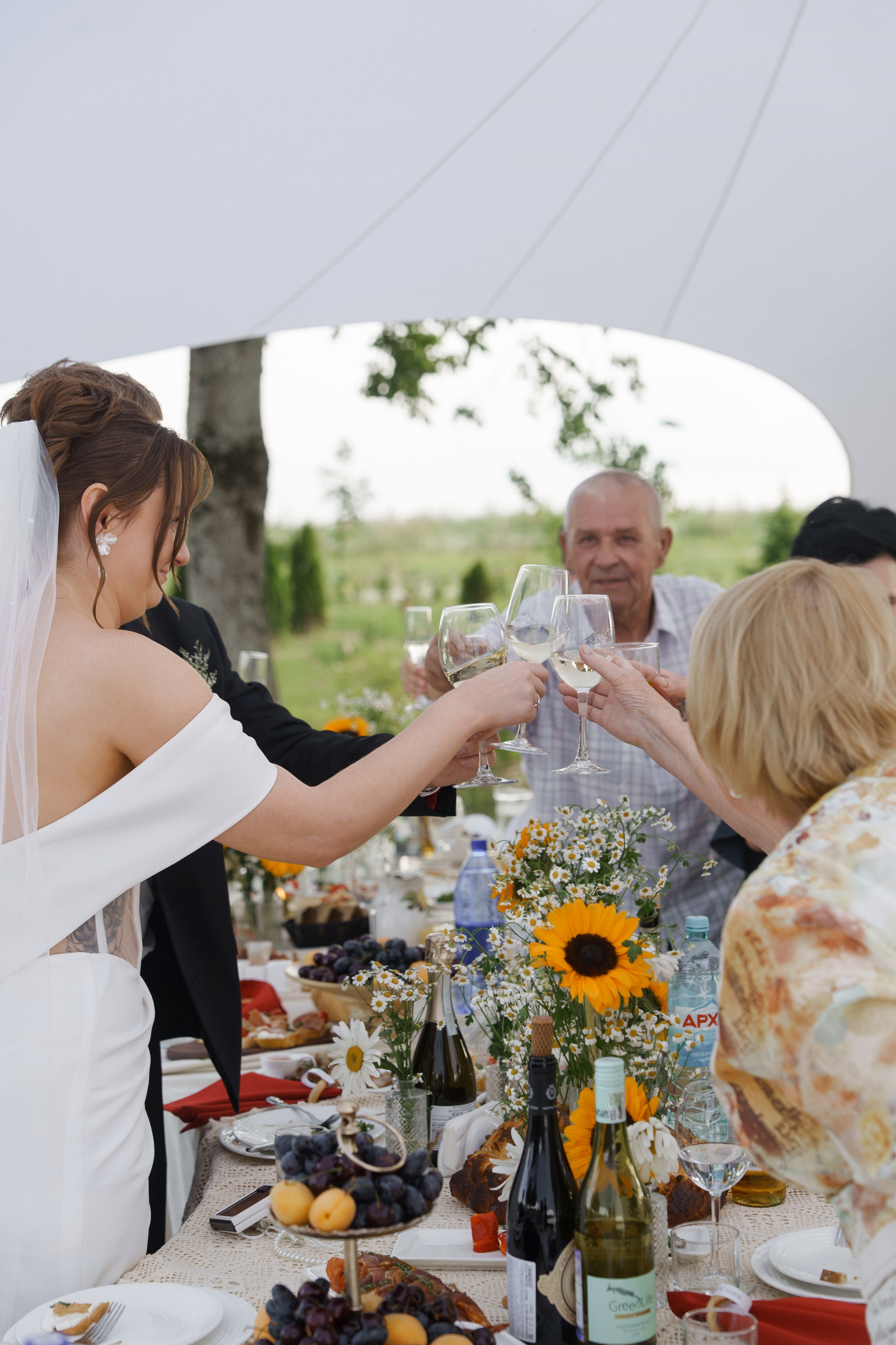Михаил и Ольга (банкетная часть г. Брянск). Свадебный и репортажный фотограф Элина Козырьянова