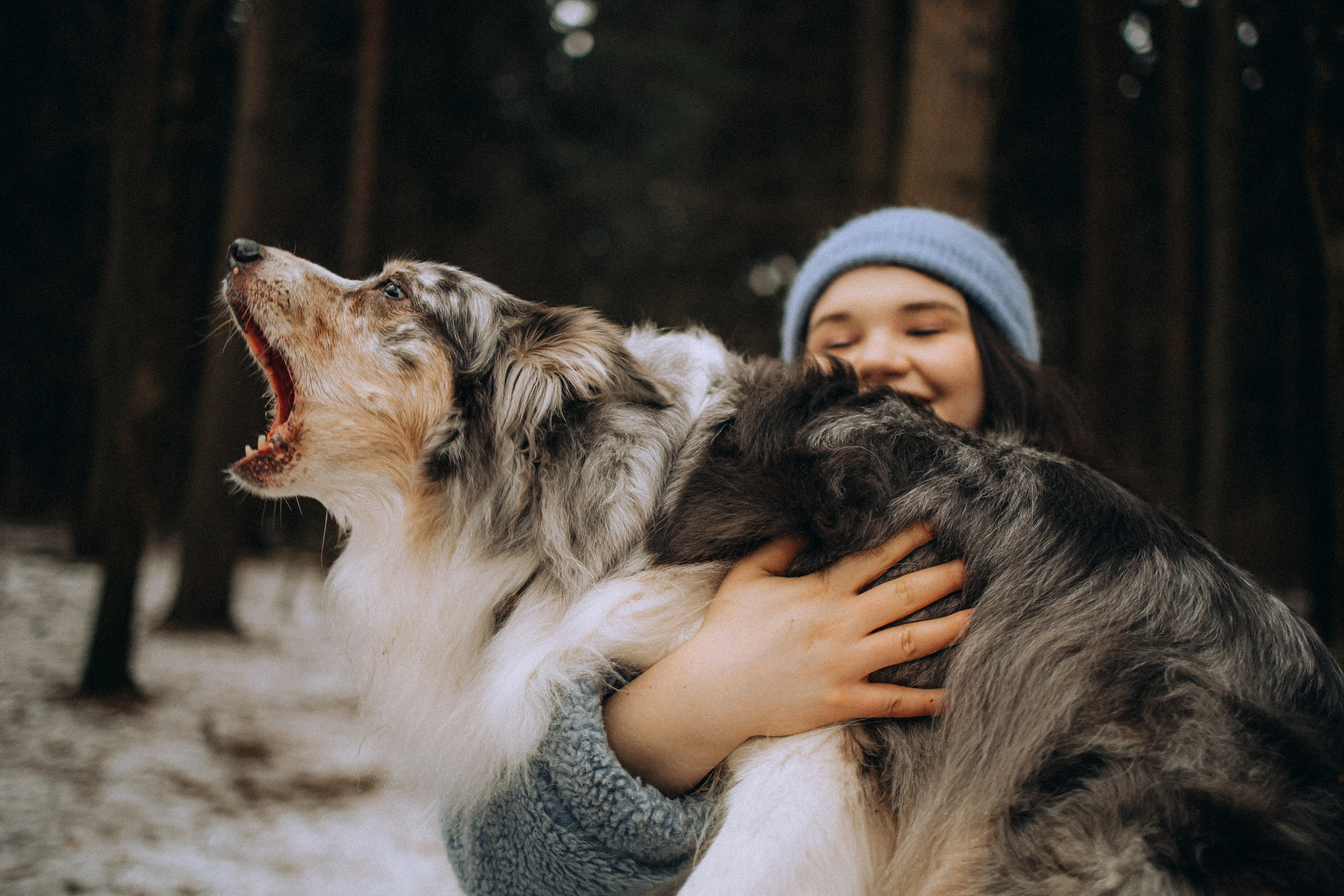 Полина, Милли и Паддингтон