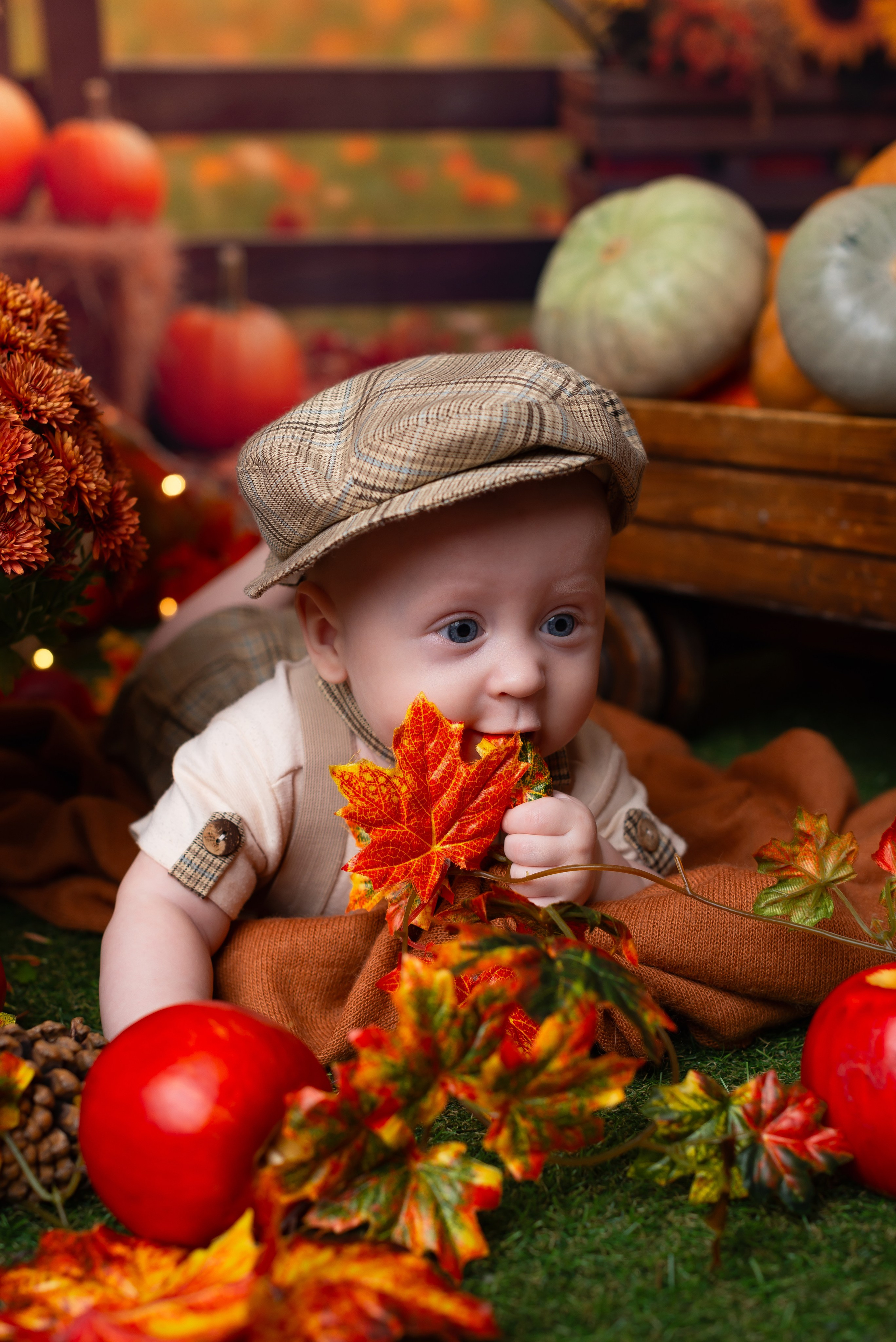Фотосессия с малышом в краснодаре. Детская фотостудия «Мандаринка» | Детский фотограф Краснодар