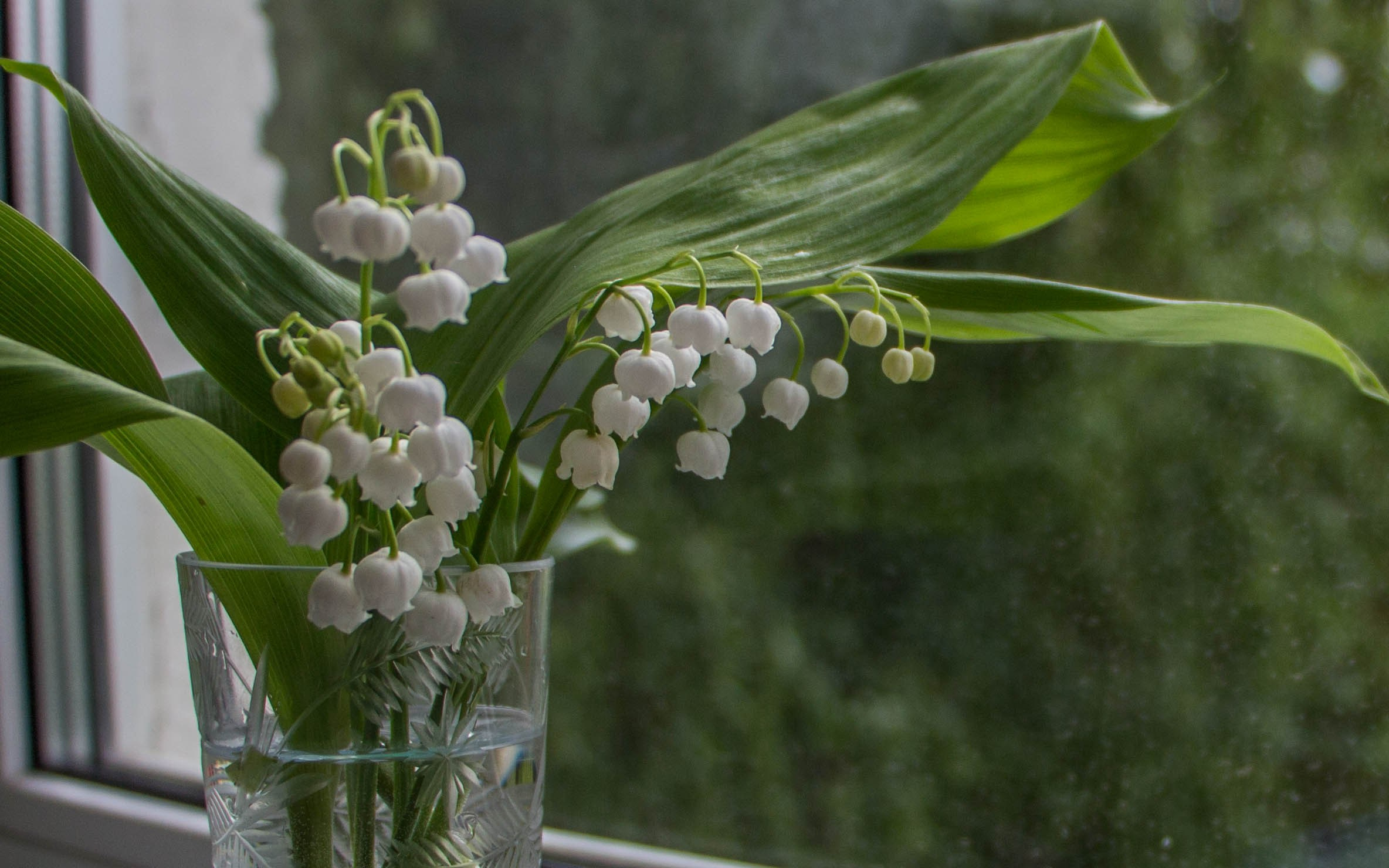 Фотошкола Таты Пахомовой. Творческая Таты Пахомовой