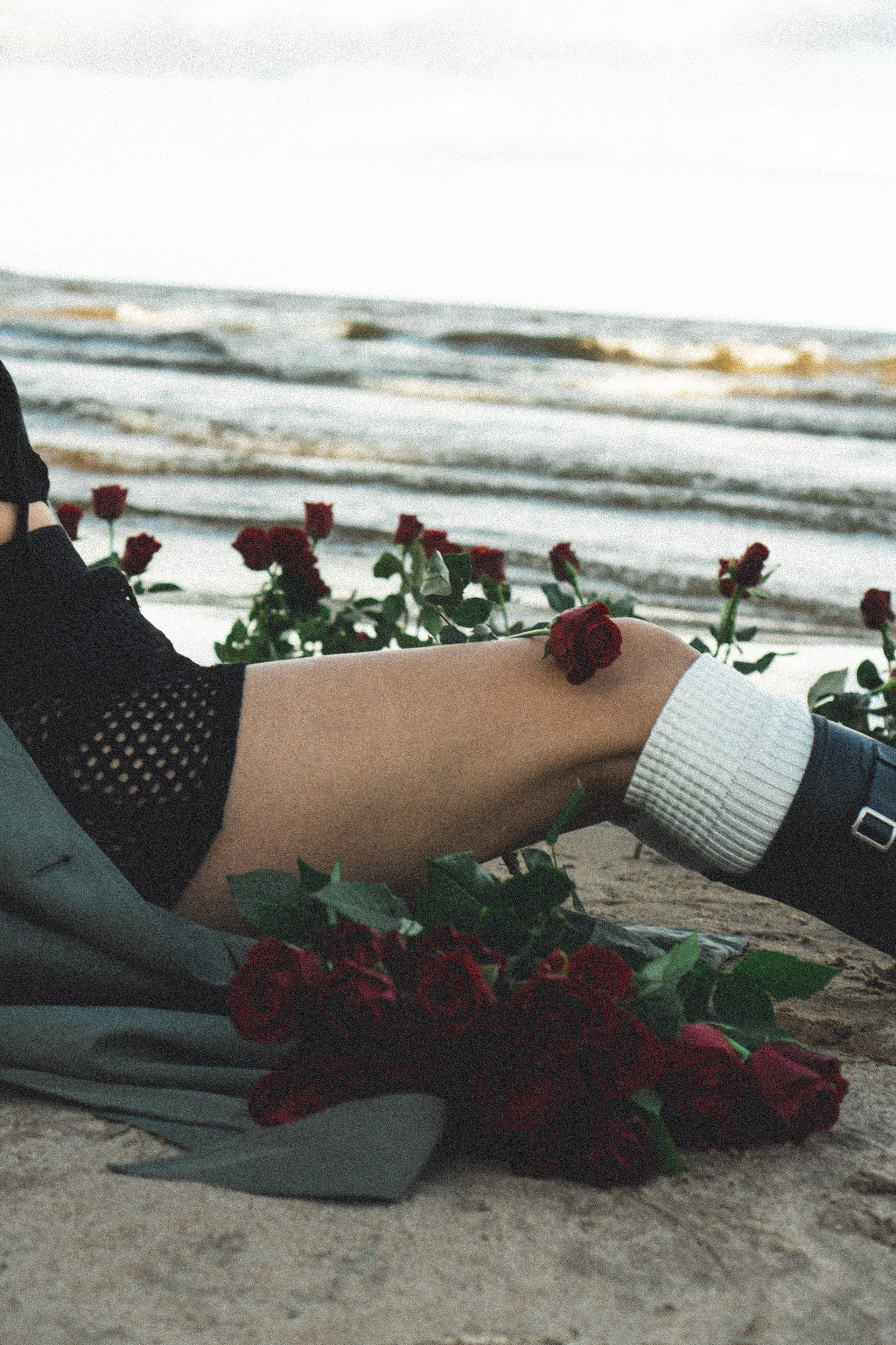 Розы. Профессиональный фотограф, Санкт-Петербург — Виктория Богомолова