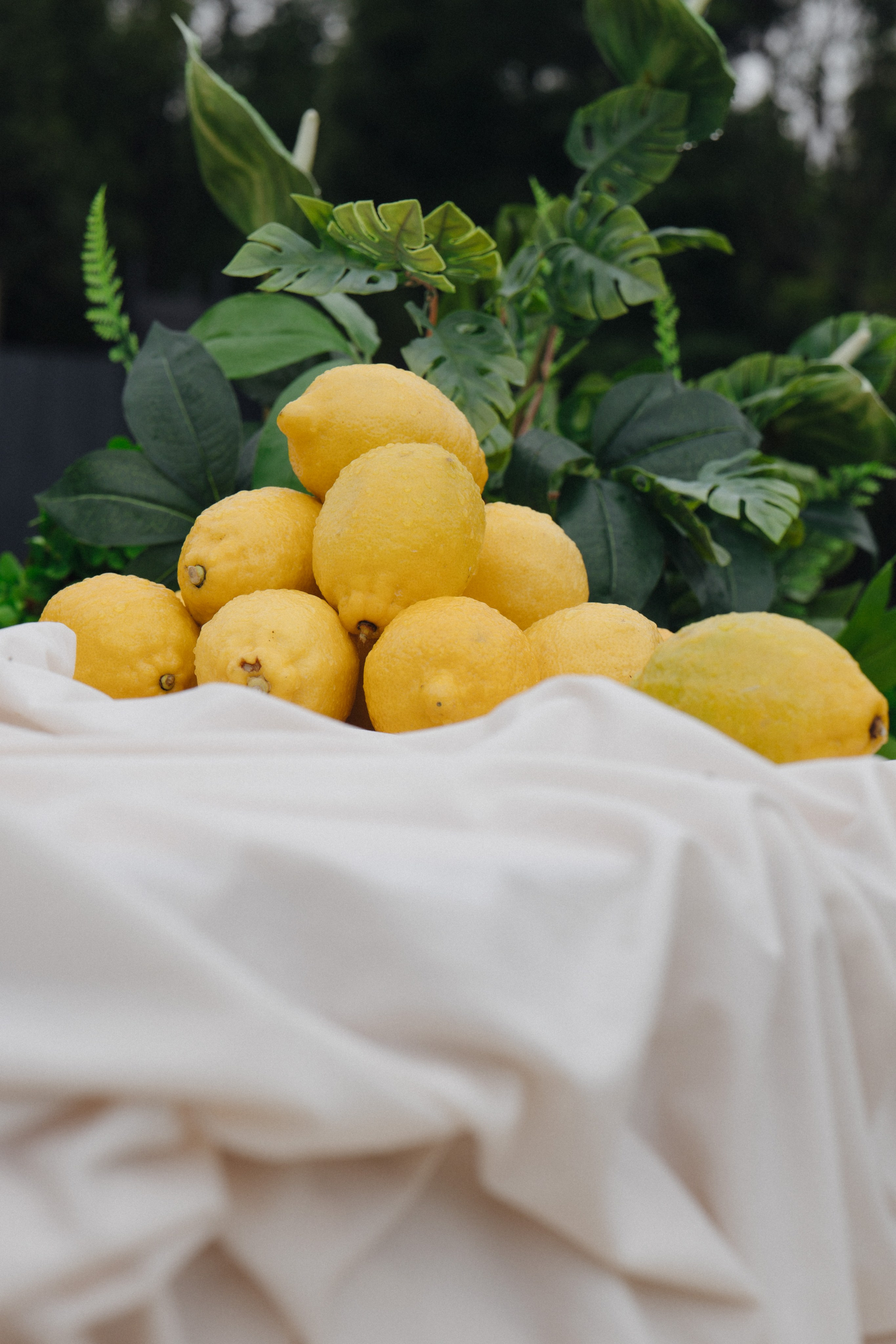 Один на миллион🍋. Свадебный и Love story фотограф Никита Хуска город Пермь