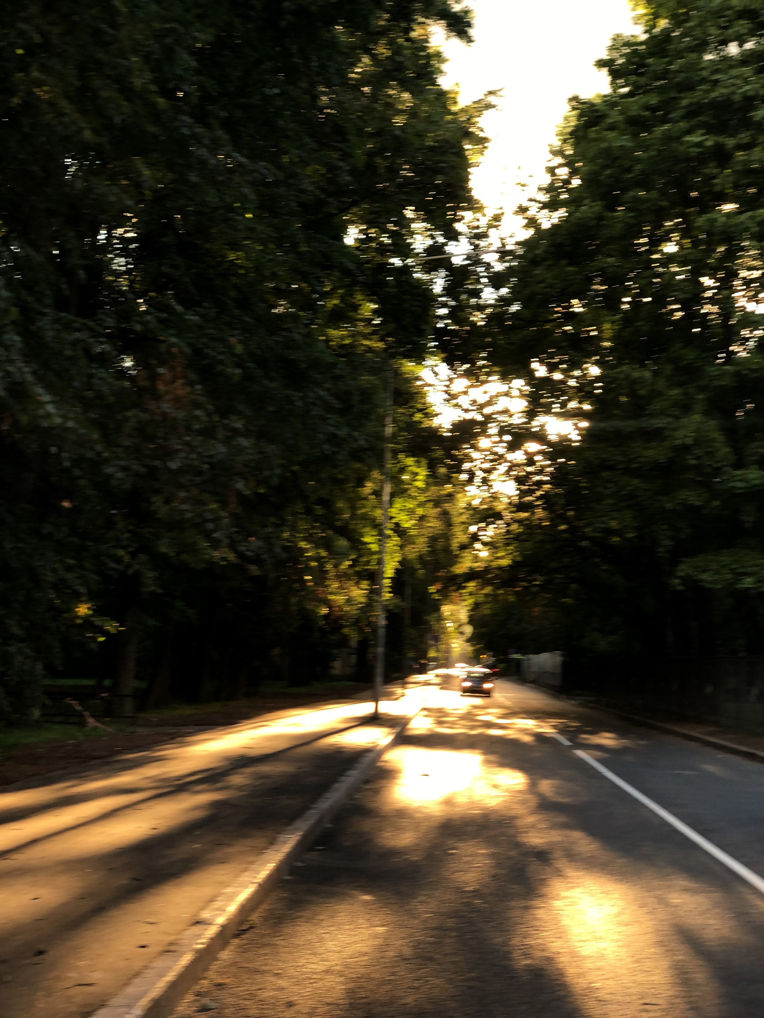 Август. Семейный, Свадебный фотограф СПБ Питер— Романова Екатерина