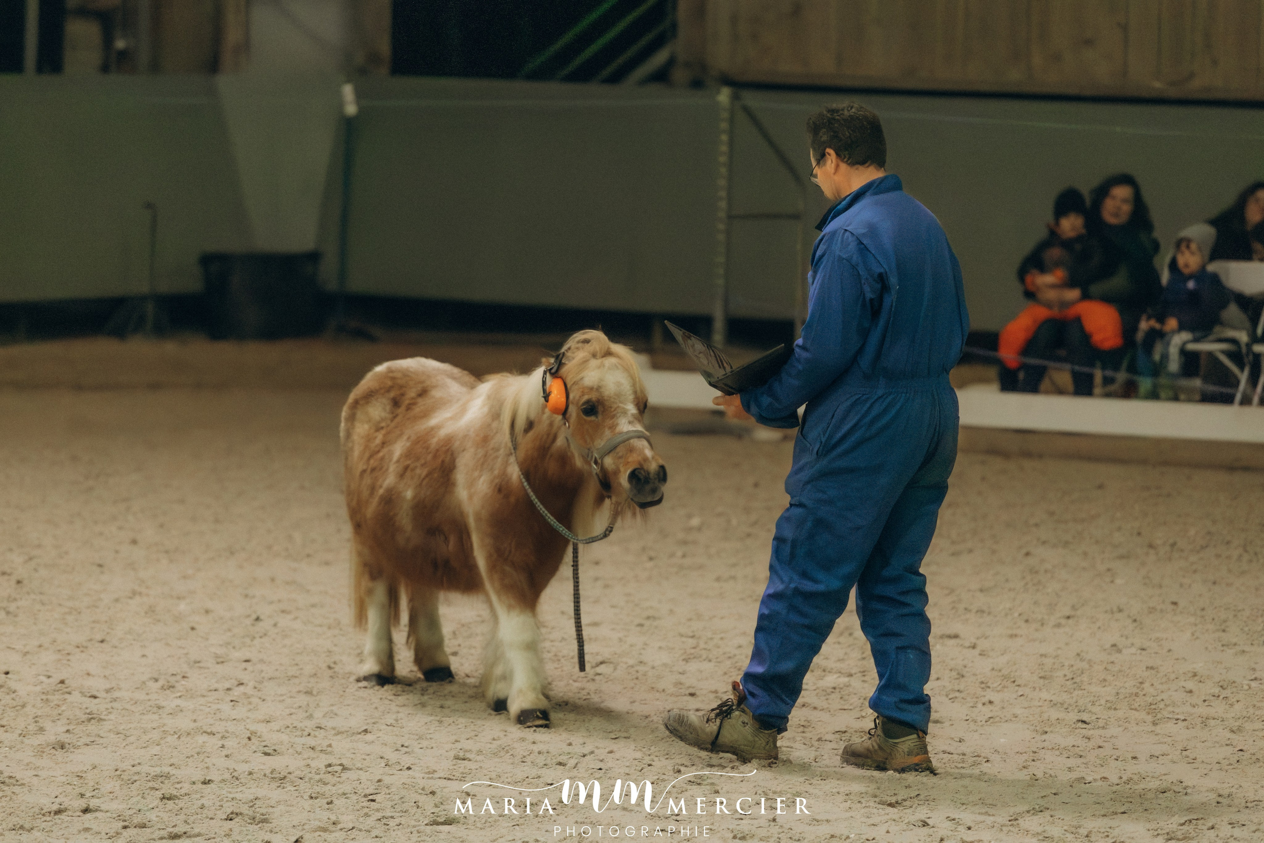 Evènements. Photographe des familles et enfants à Nantes et alentours