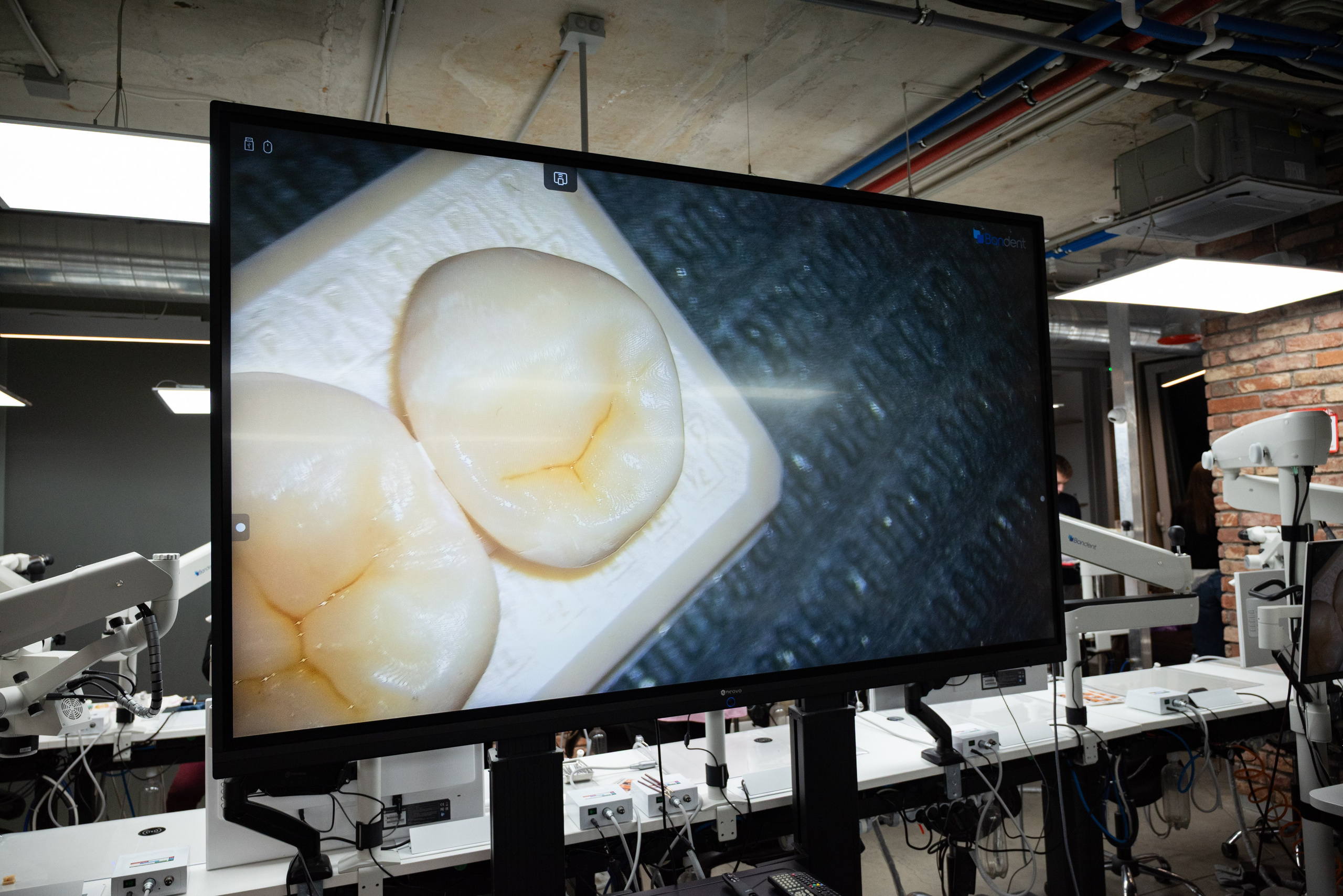 Репортаж. Фотограф мероприятий в Москве