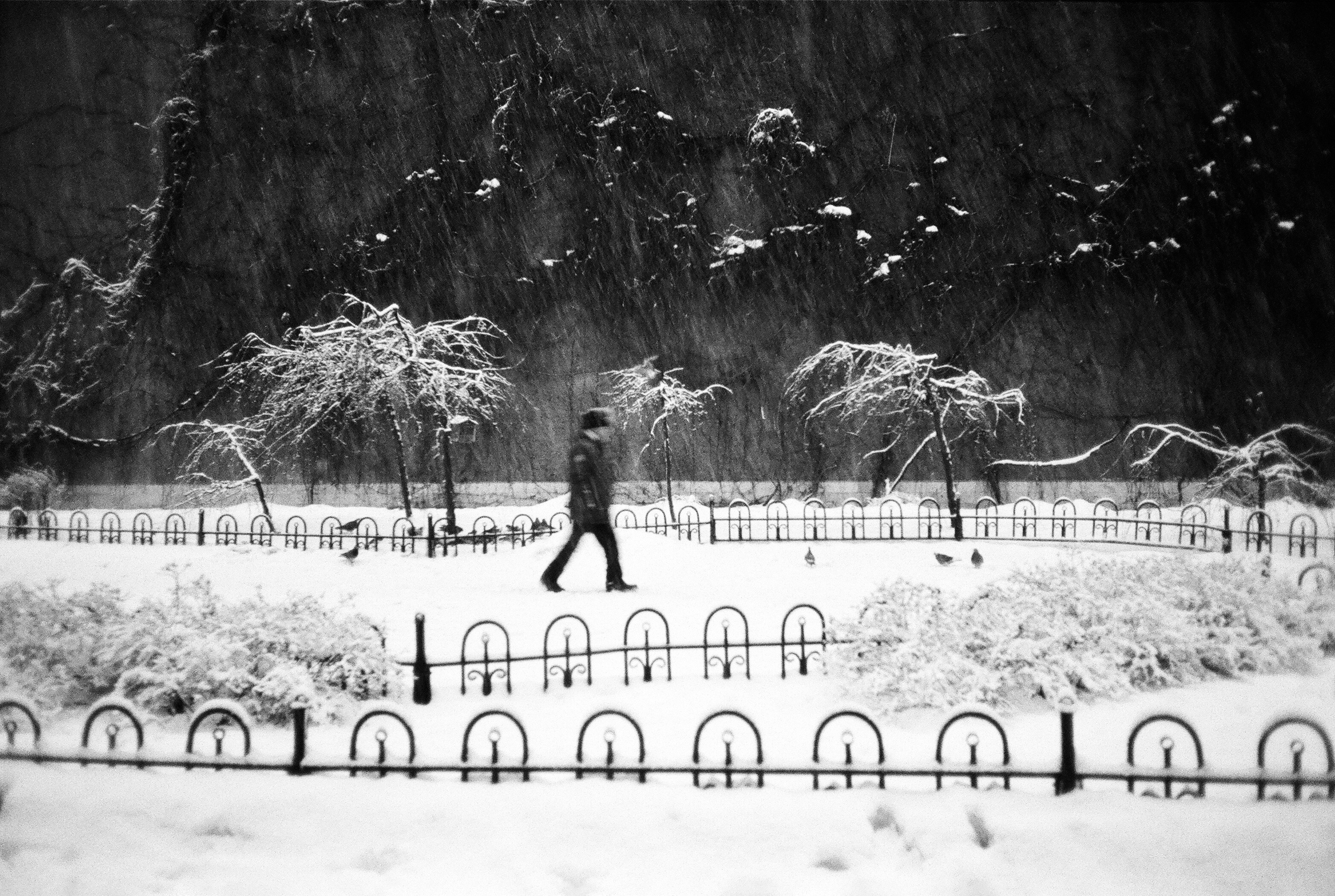 Фотографии черно-белые. Свадебный и семейный пленочный фотограф в Петербурге Истомина Ирина