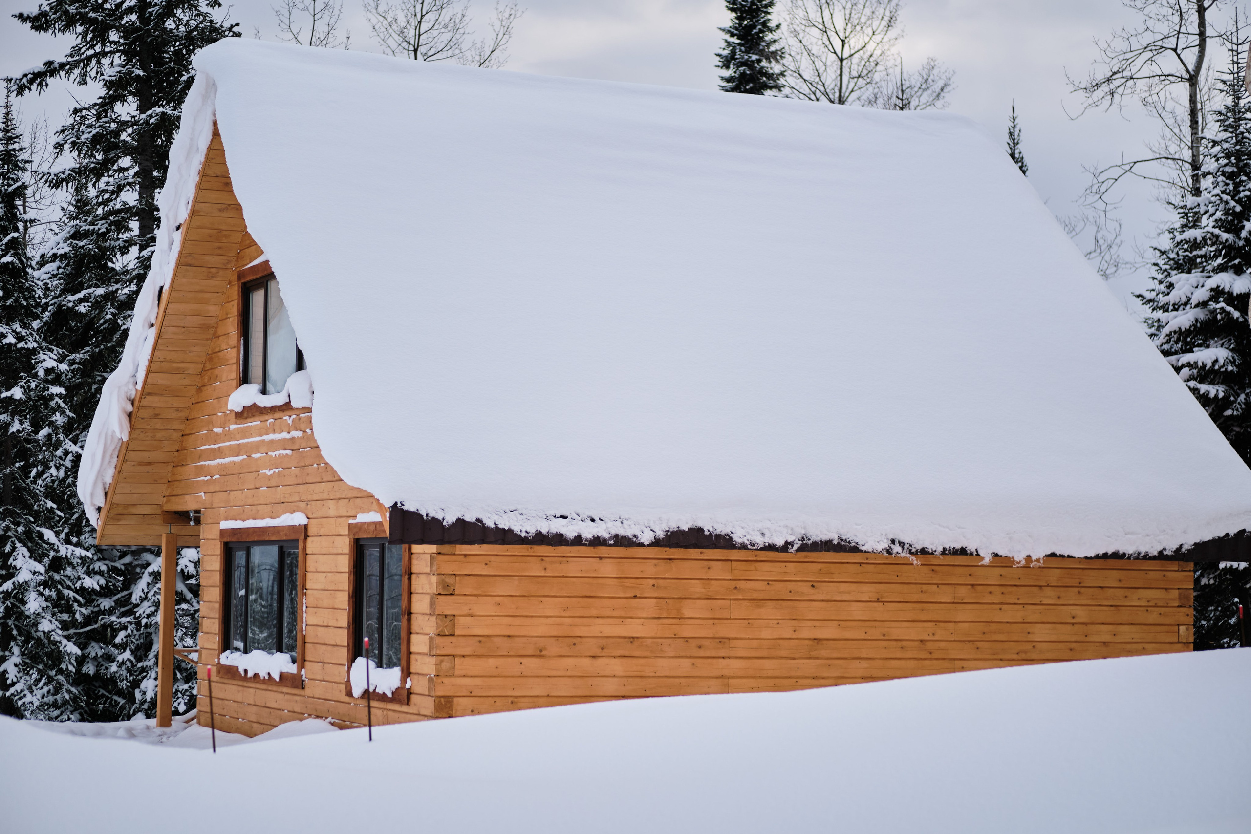 Цветочная ½. Свадебный и семейный фотограф в Новокузнецке Иван Иванов