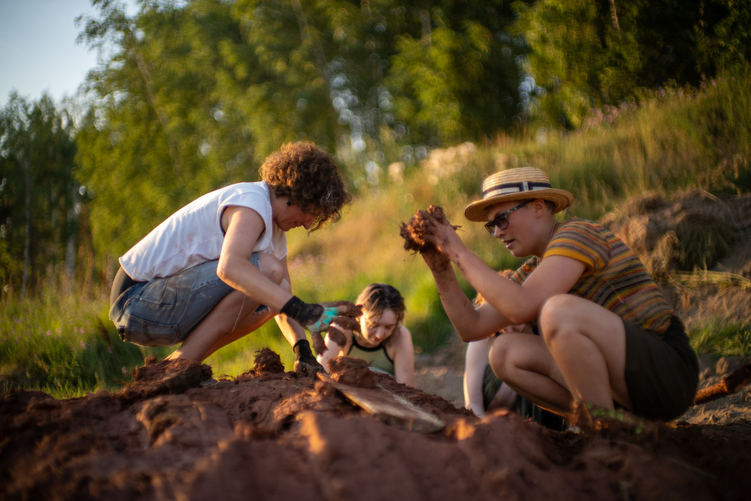 Wild fire 2024 — Дикий огонь 2024