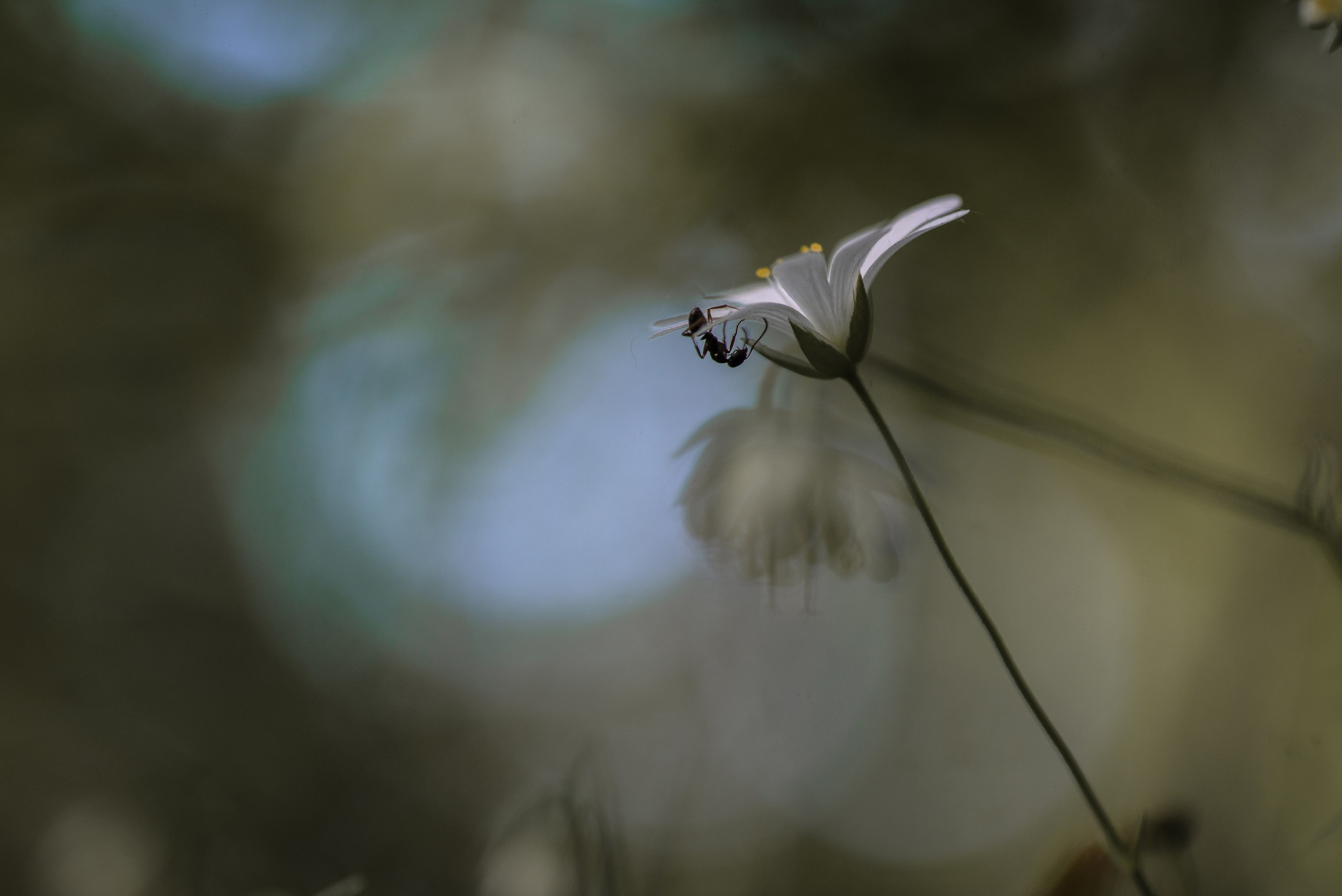 Природа. Фотограф Таинства Крещения в Саратове Ильченко Артем