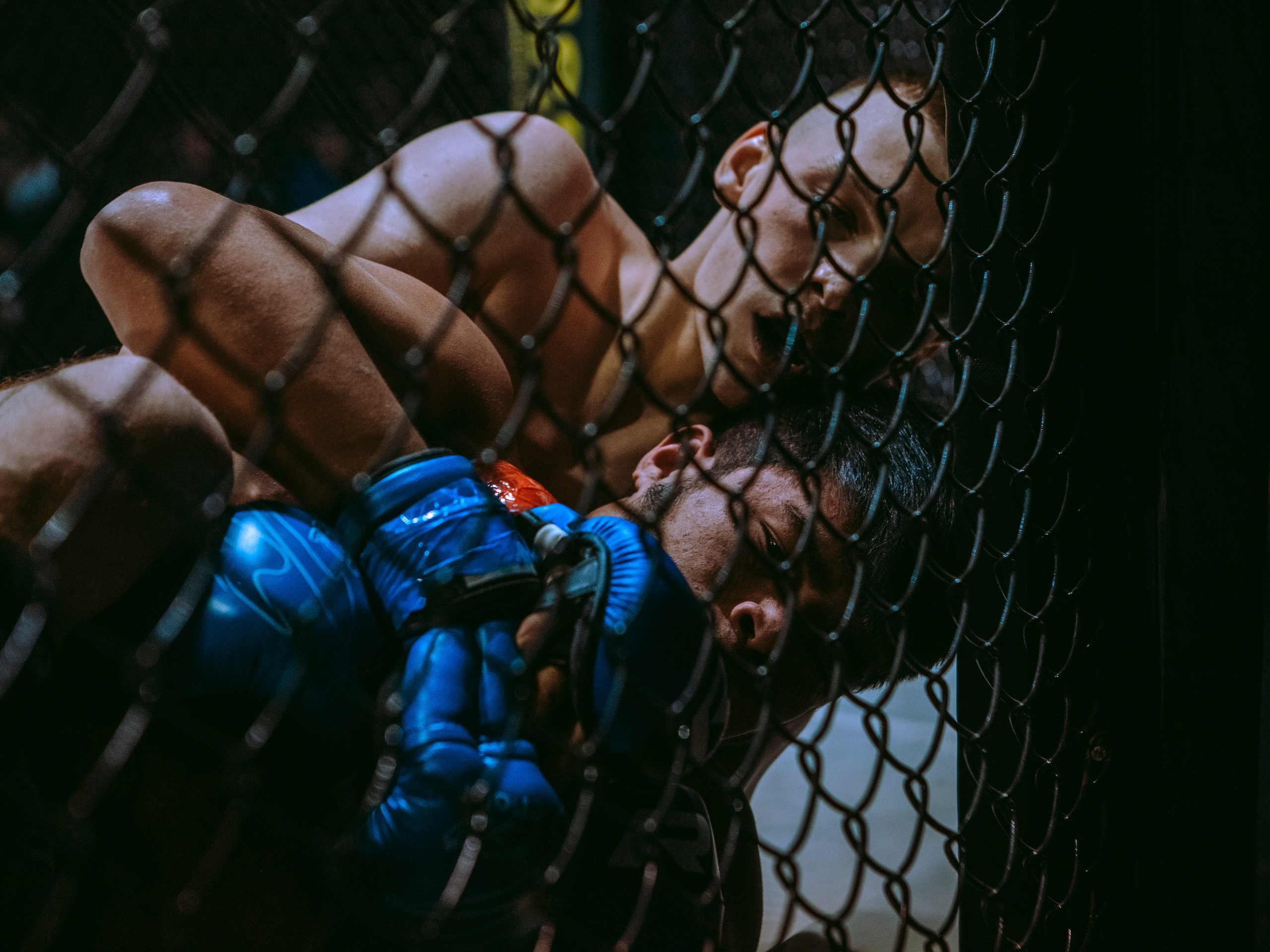 SFL 17 | Siberian Fighting League. Портретный фотограф в Москве Дарья Цезария