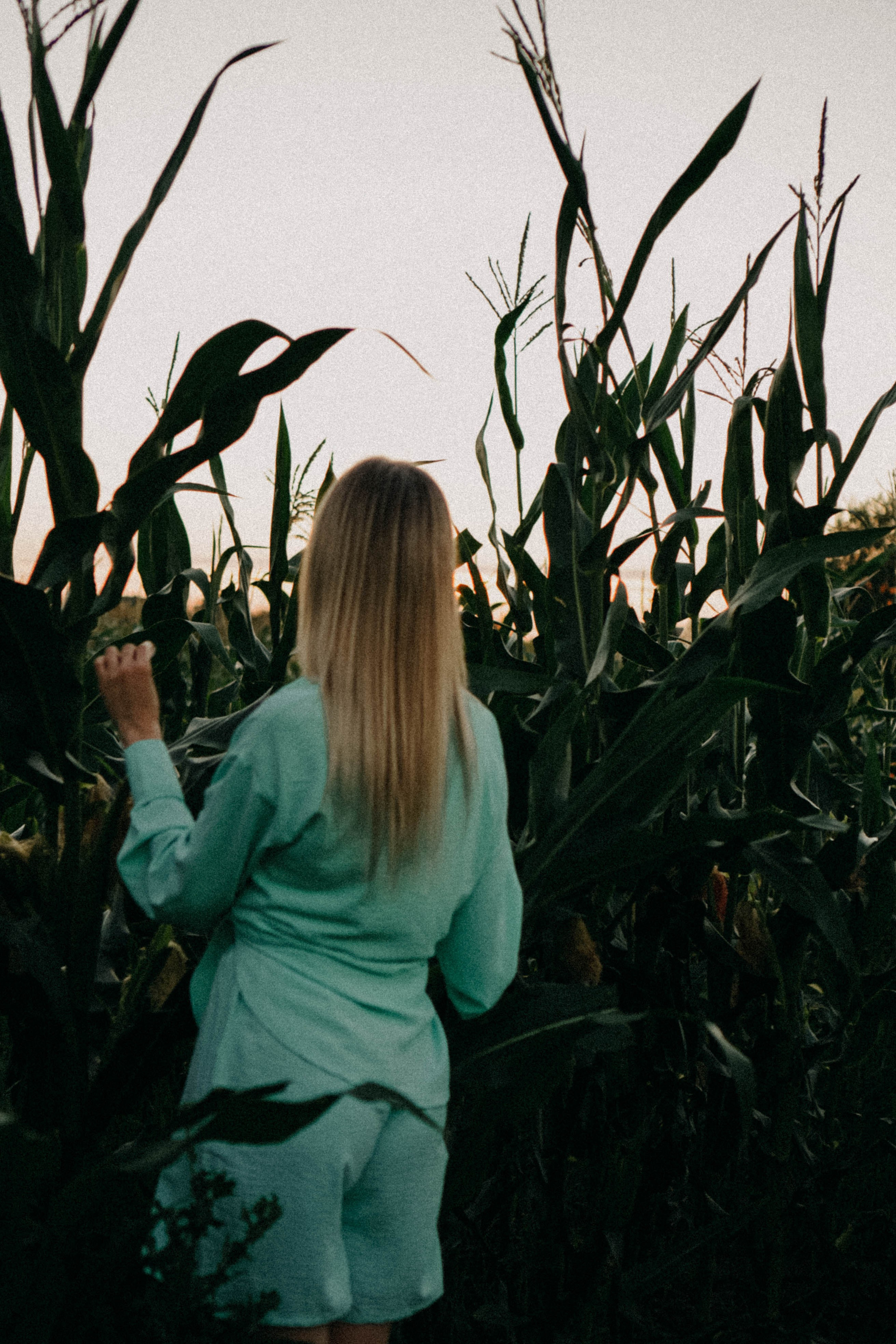Летний вечер. Профессиональный фотограф, Санкт-Петербург — Виктория Богомолова