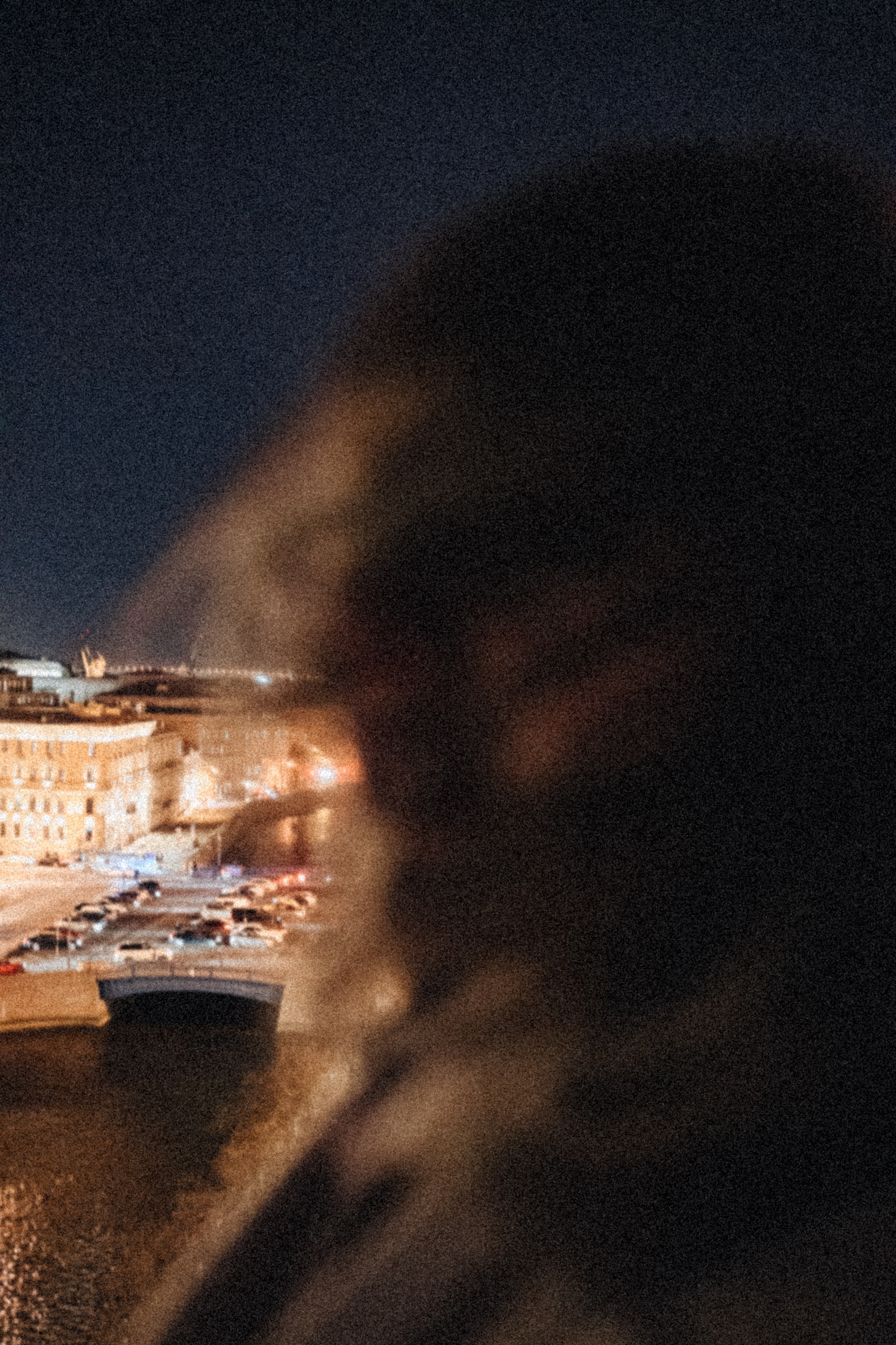 Крыши Питера. Профессиональный фотограф, Санкт-Петербург — Виктория Богомолова