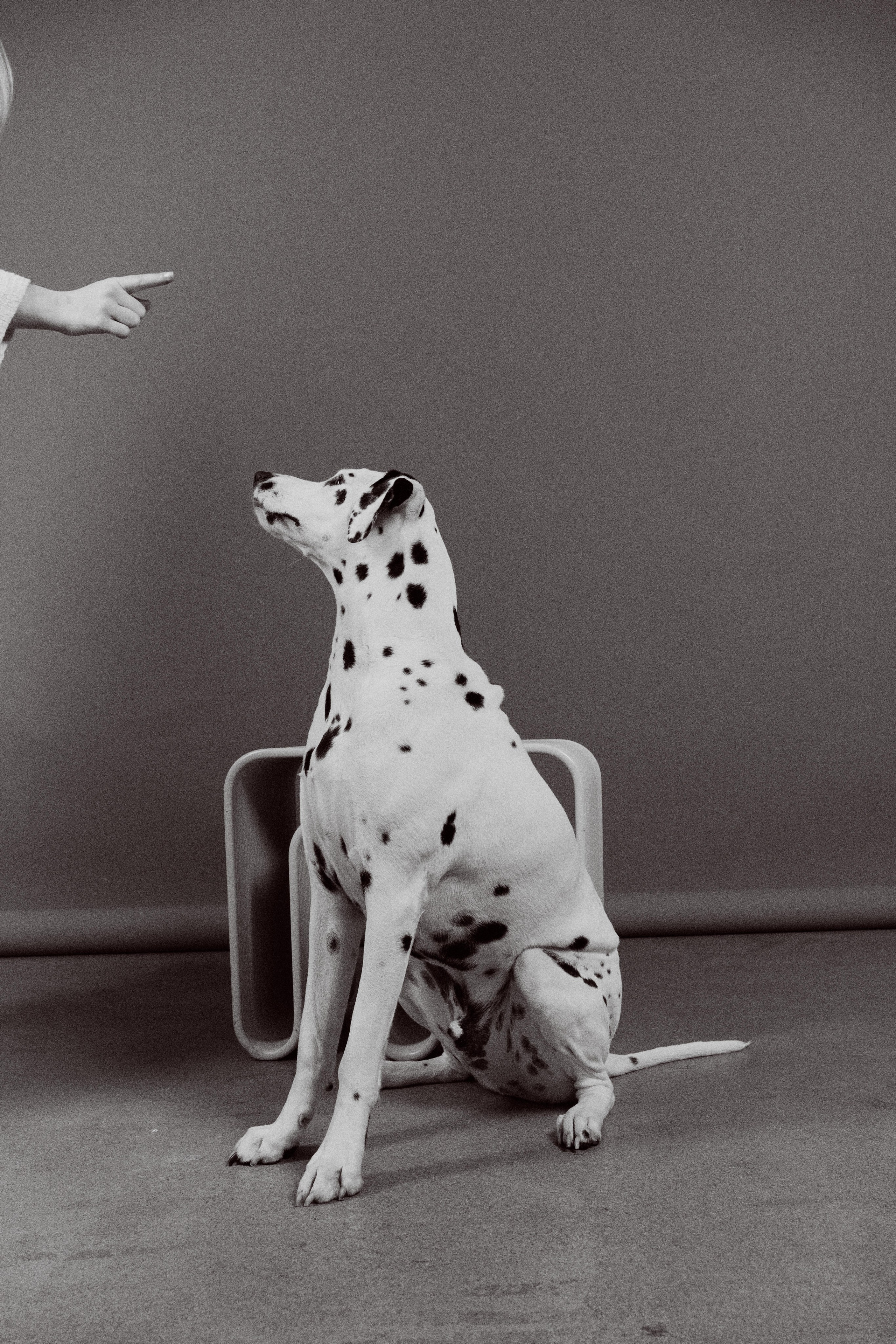 Коммерческий фотограф Наиля Халилулина