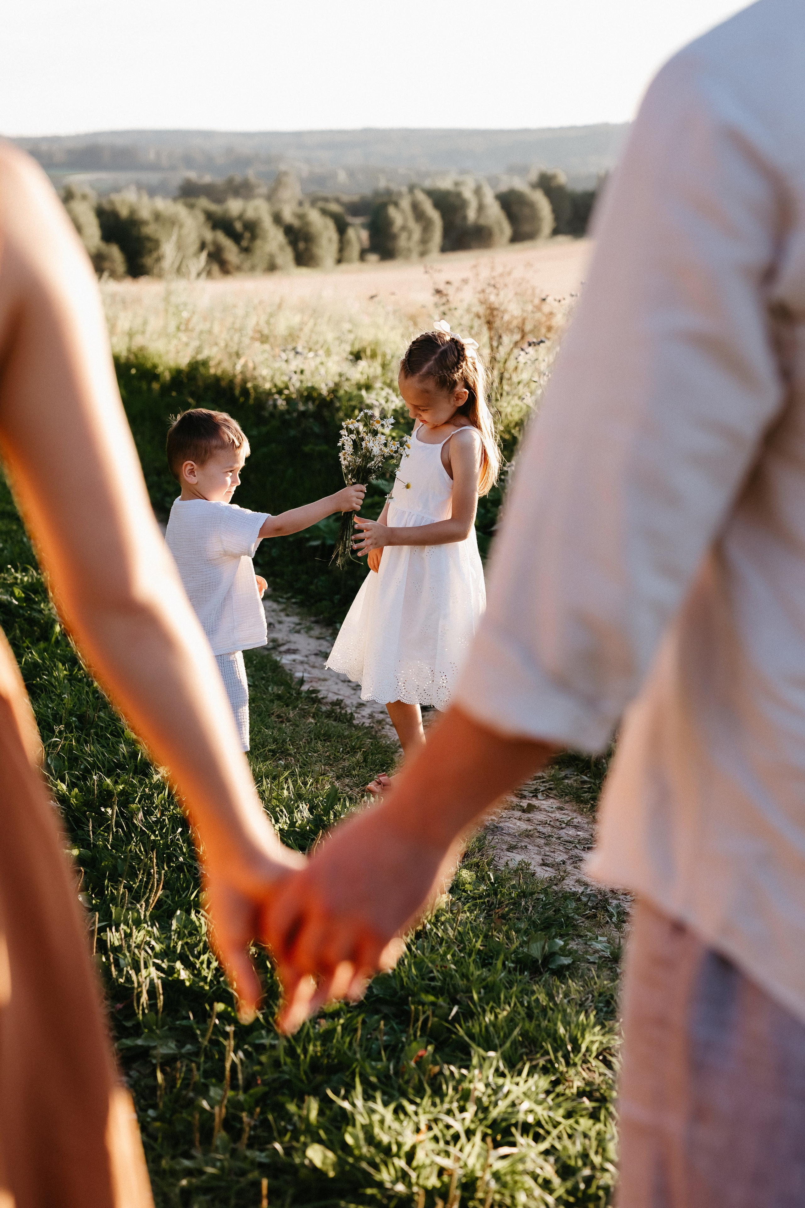 Летний вечер. Евгения Пелипас