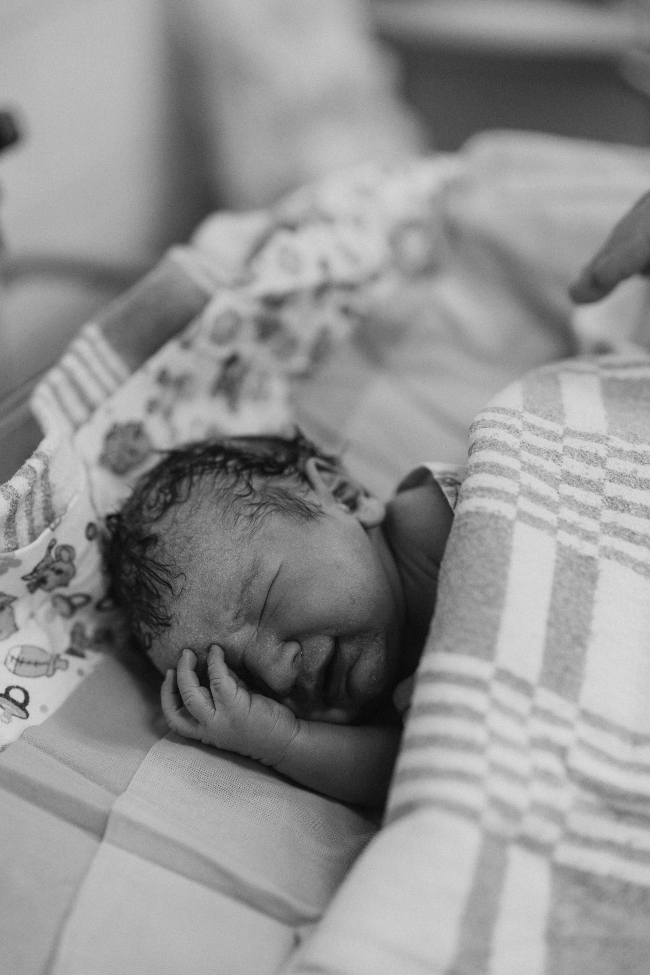 Рождение Владимира. Евгения Пелипас