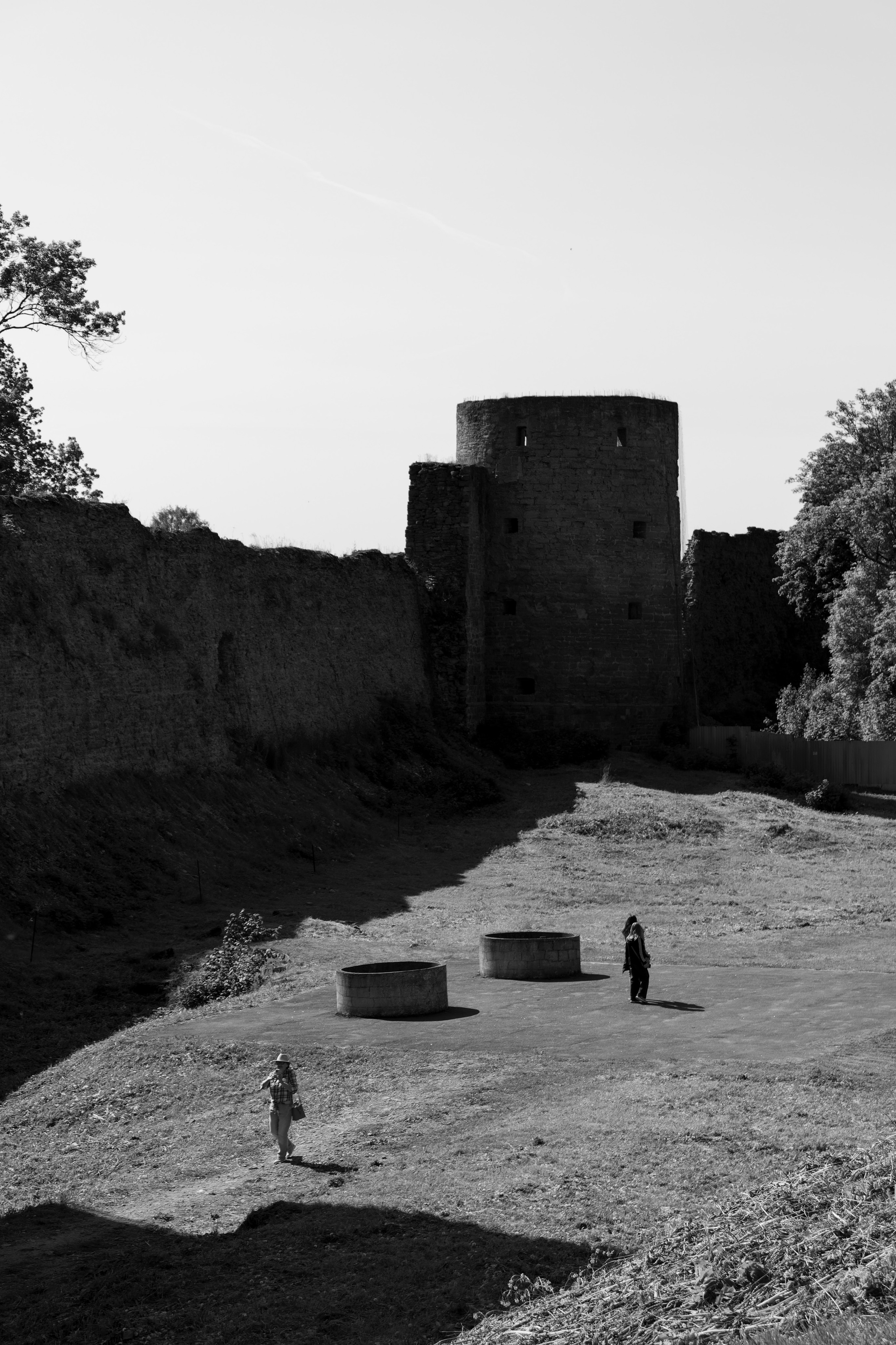 Из наблюдений. Плак или Квак