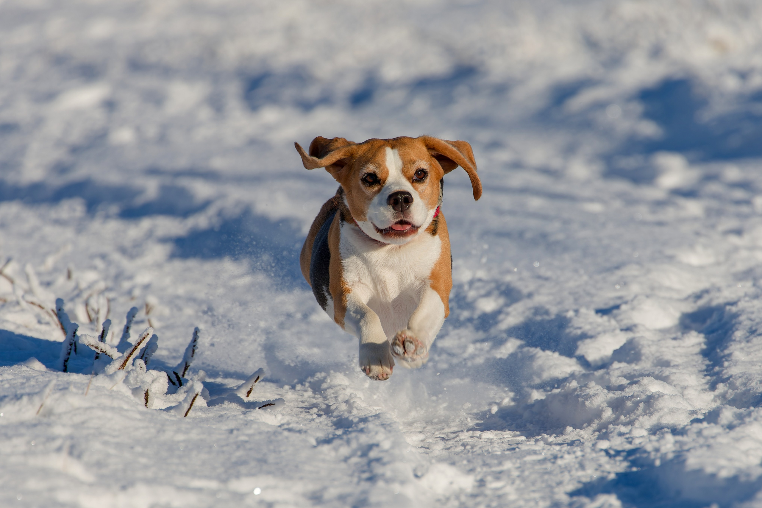 Lure Club 2025. Irenephoto.ru