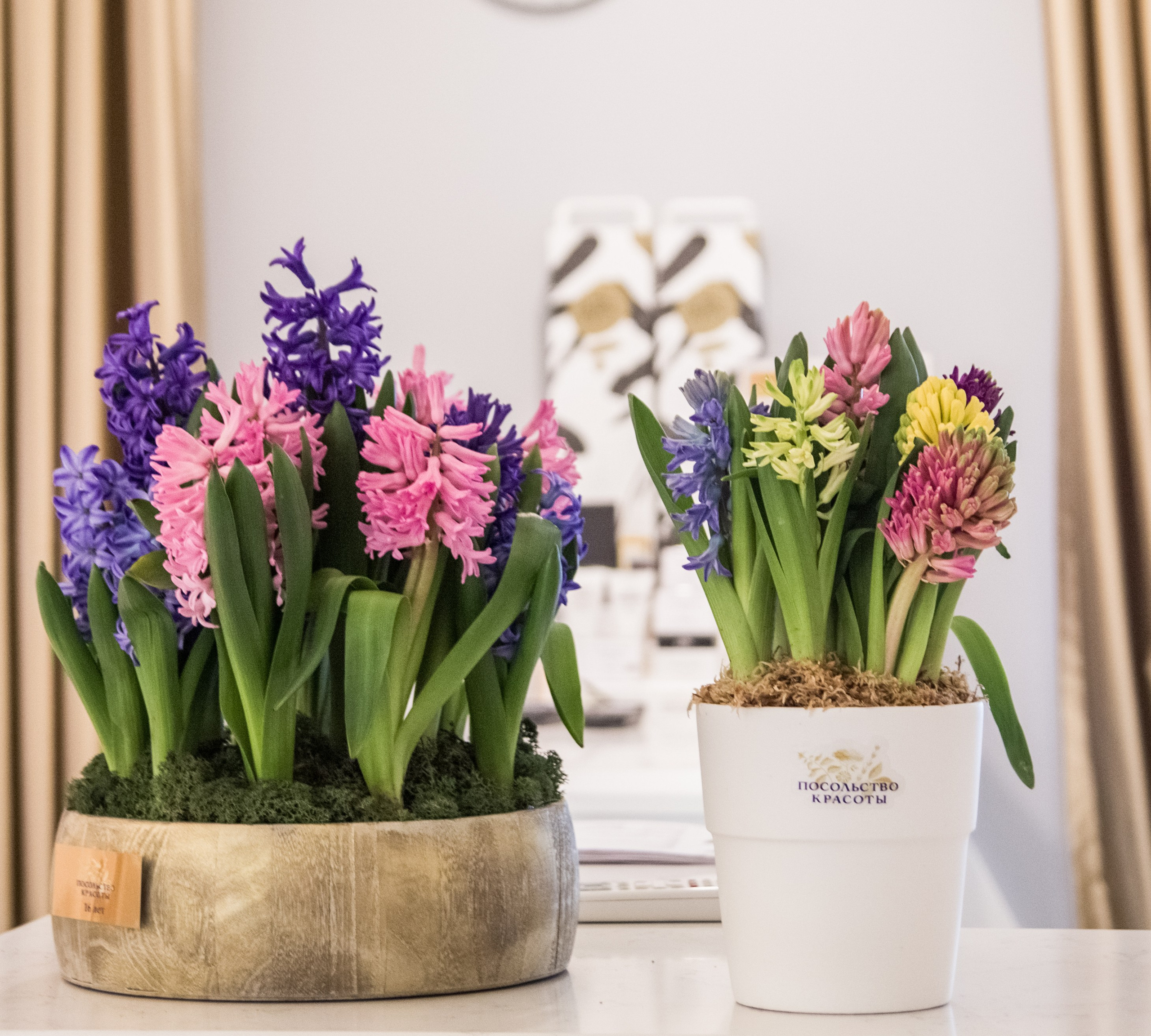 Посольство красоты 2021. Ксения Почтарь. Декоратор и флорист, город Владивосток