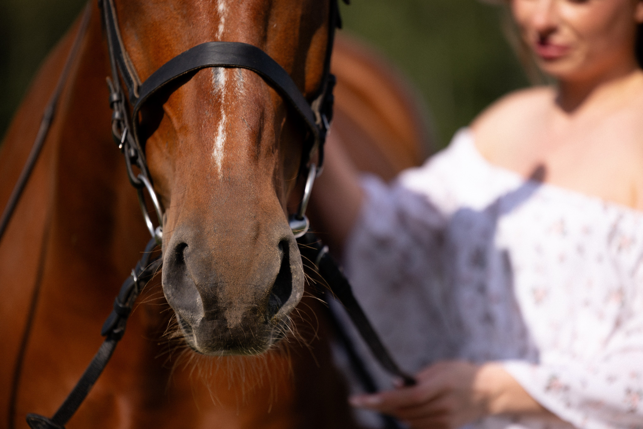 Мария и Реванш. Фотограф и видеограф анималист Аганина Дарья