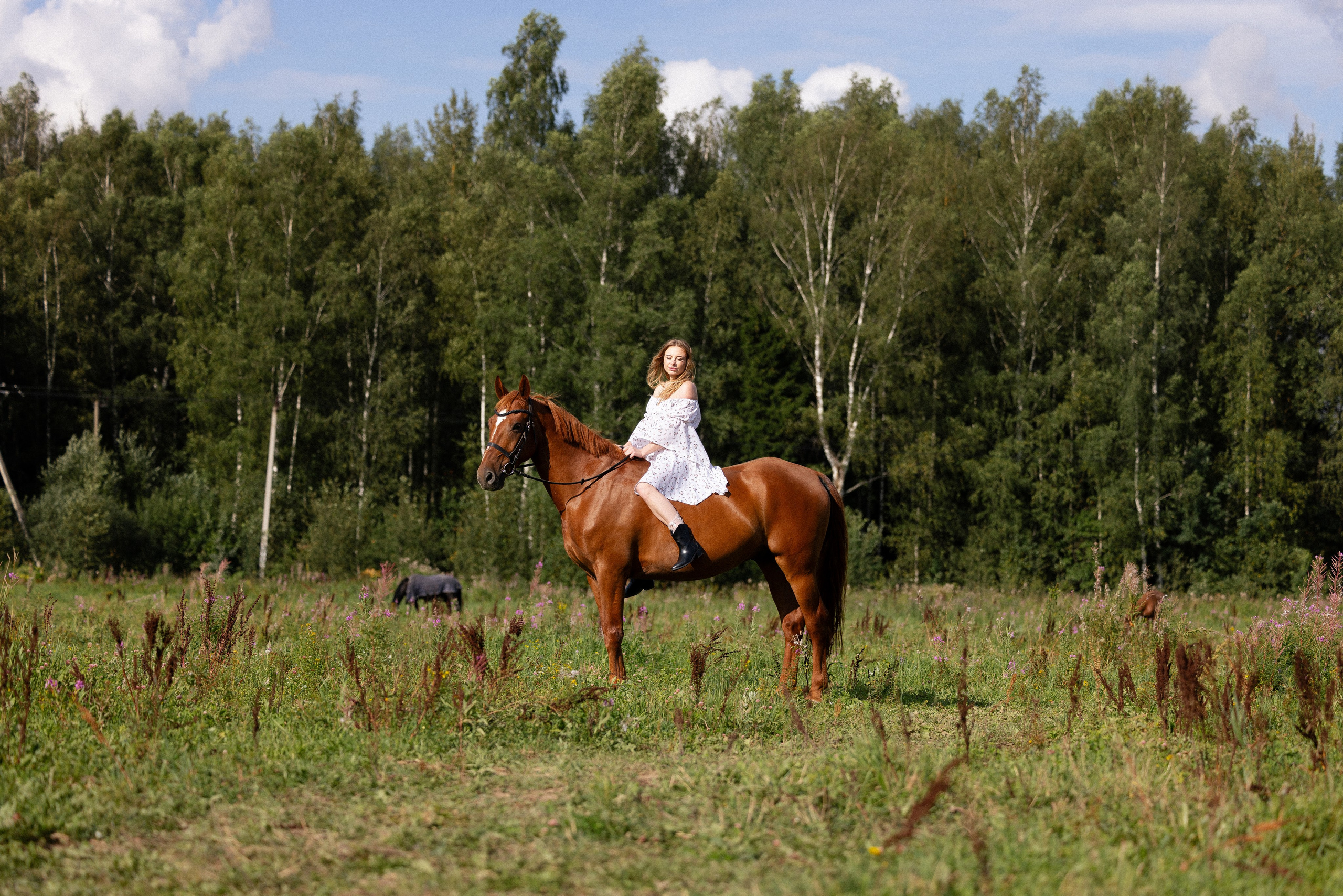 Мария и Реванш. Фотограф и видеограф анималист Аганина Дарья