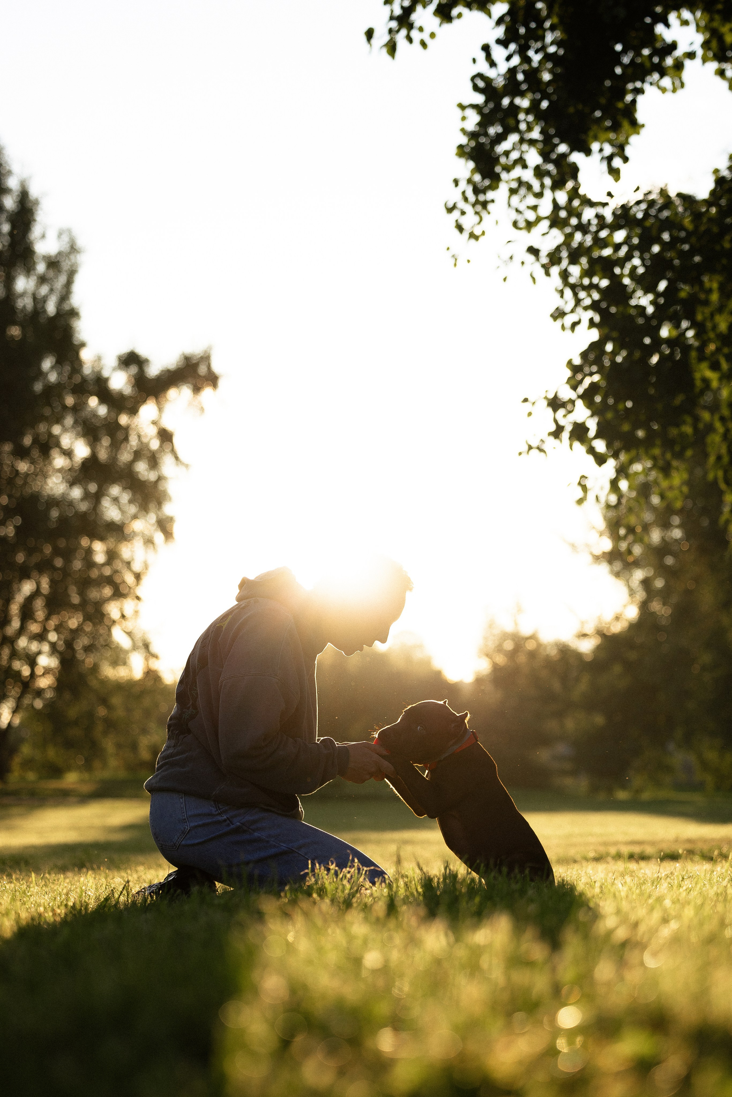 Елена и Хан. Фотограф и видеограф анималист Аганина Дарья