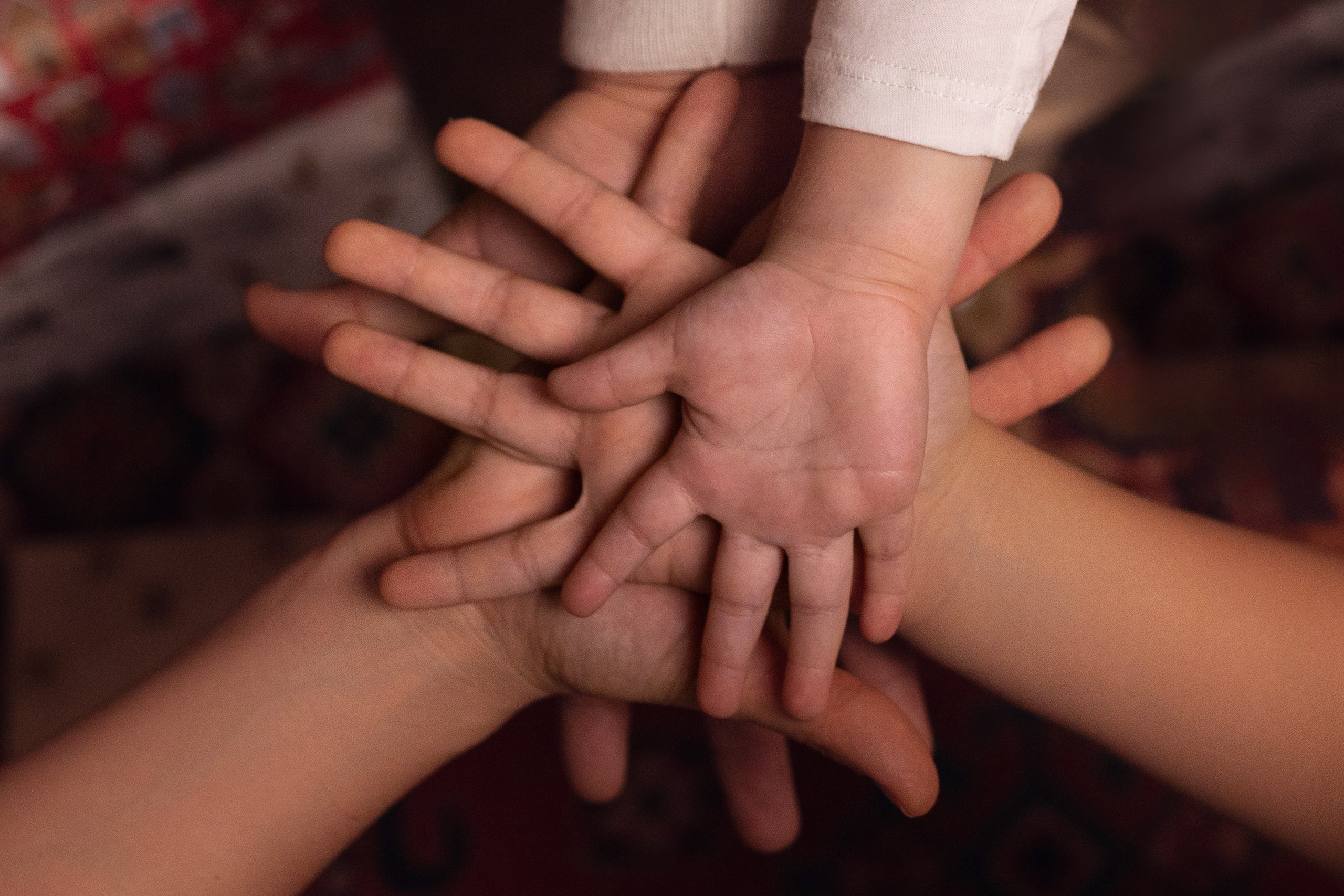 НОВОГОДНЯЯ. Фотограф в Ростове-на-Дону Мария Аверина