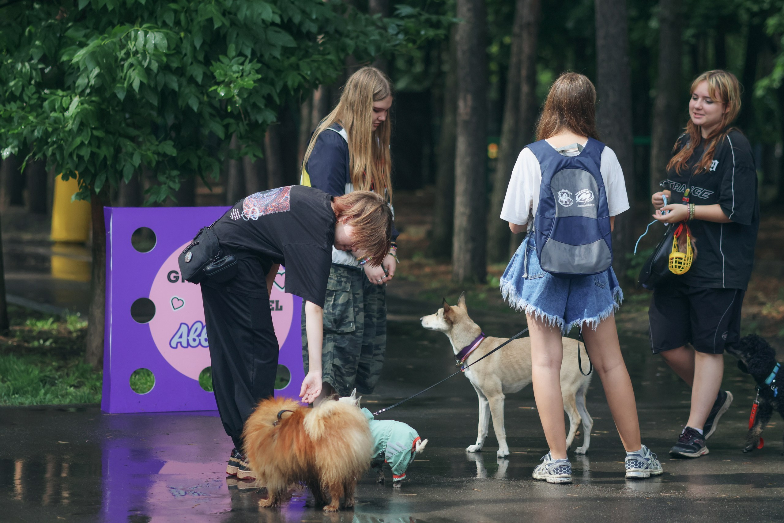 Четыре Лапы. Свадебный и репортажный фотограф Дмитрий Кононенко