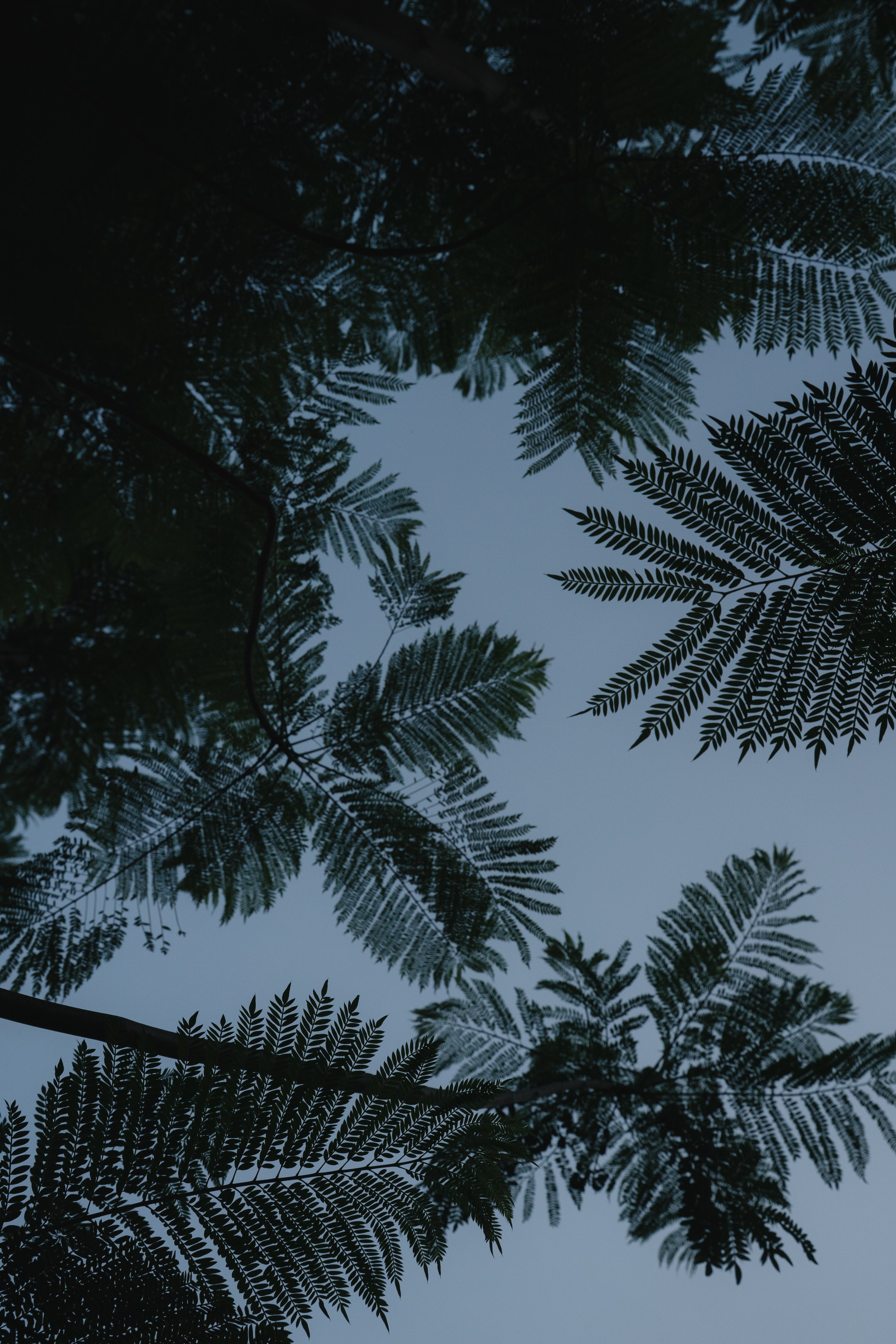 Casa Sur. Wedding & Documentary Photographer based in Nuremberg — available across Europe & Turkey | Vitalii Nasonov