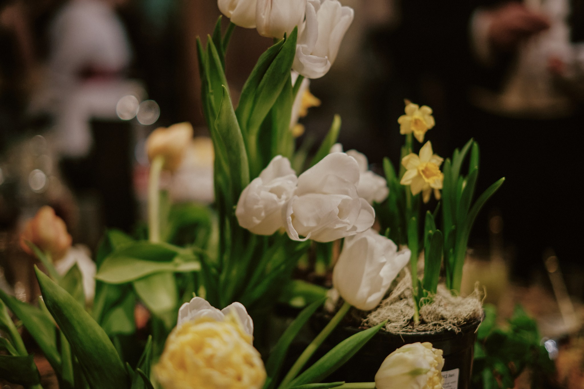 Dance.Party.Spring. Фотограф Аннё| Москва