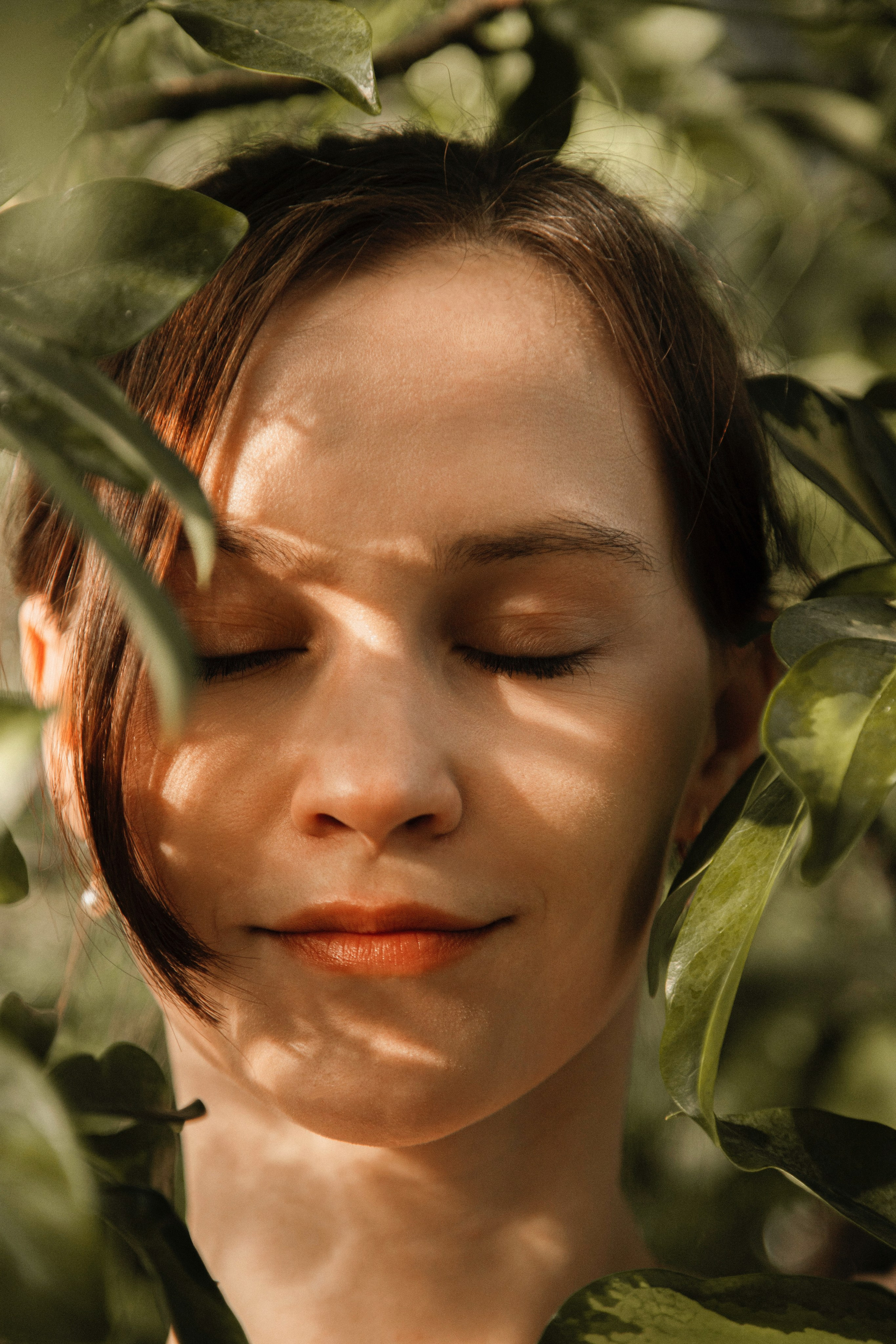 Оранжерея Таврического сада