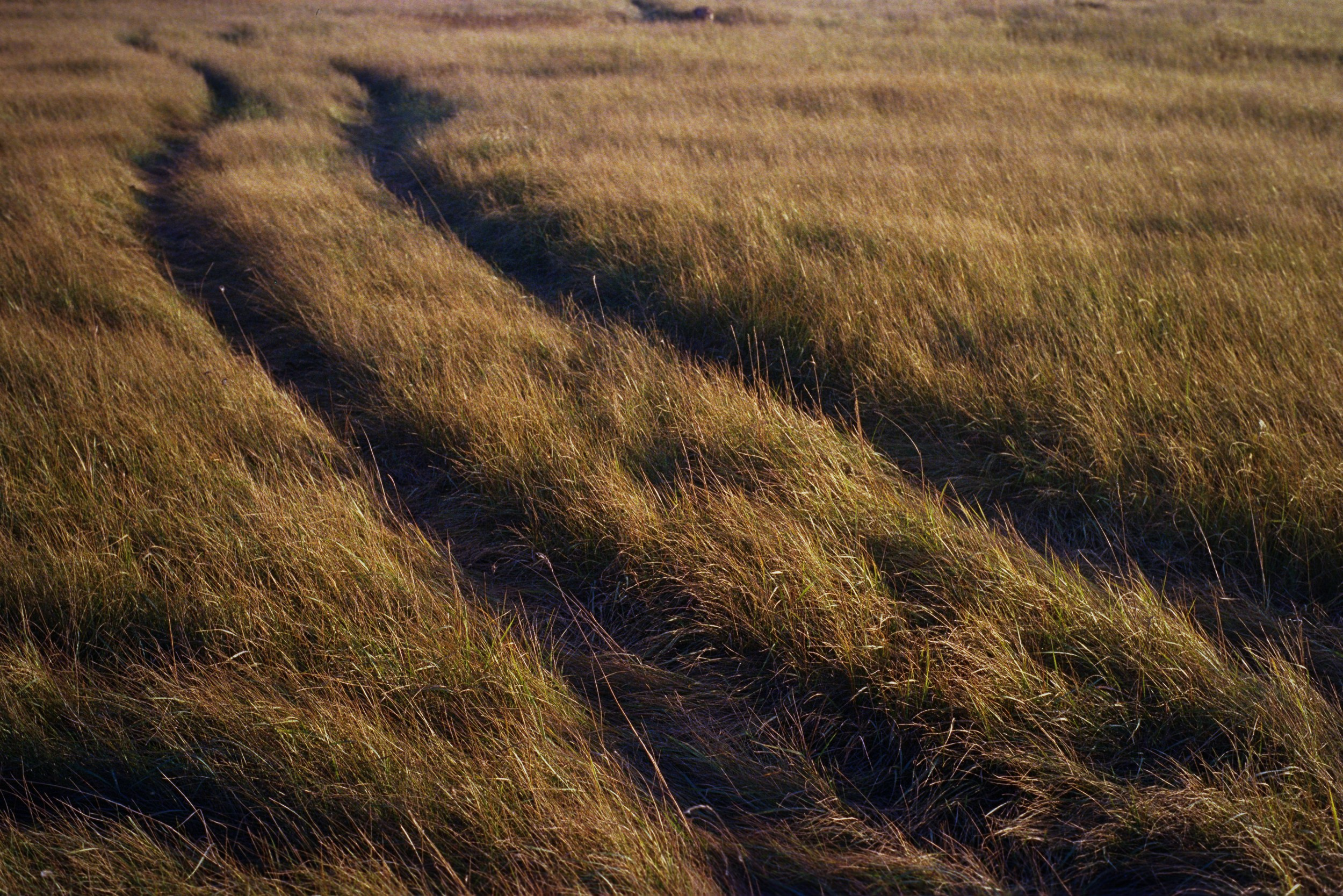Street-photo города Новосибирск. Портретный и репортажный фотограф. Мыльников Илья