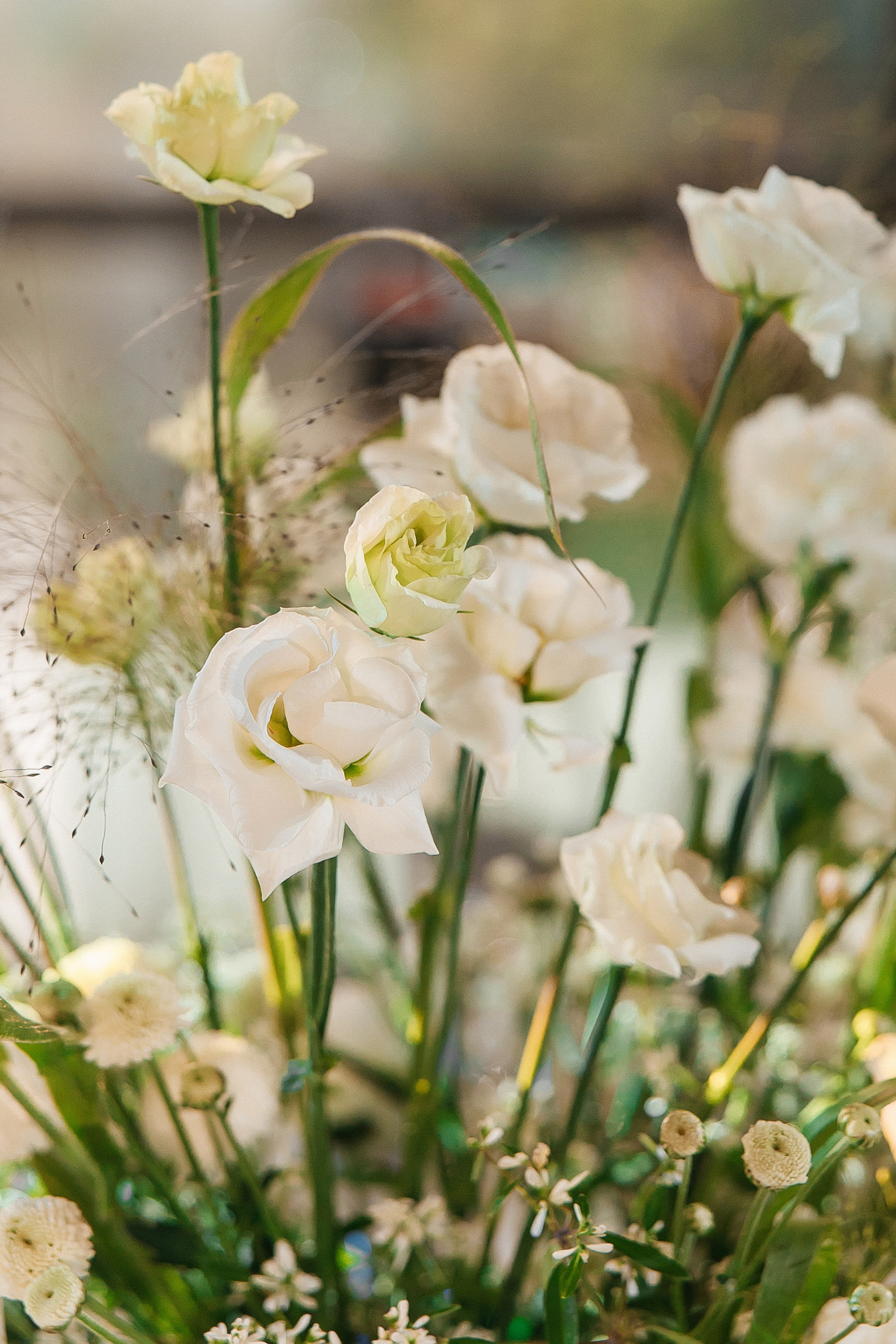 Дмитрий и Алиса. СВАДЕБНЫЙ ФОТОГРАФ МОСКВА