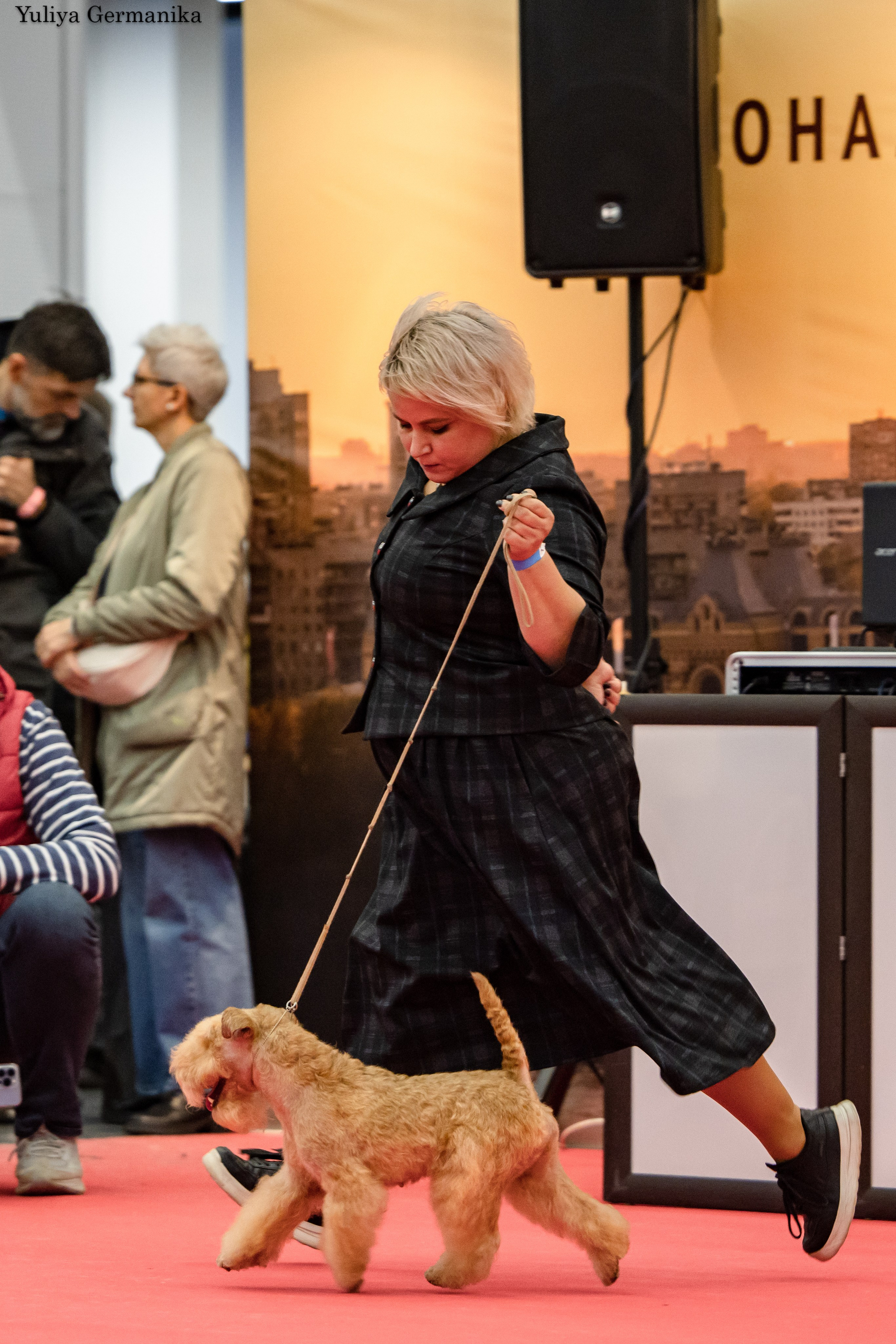 Нижний Новгород 21-22.10.2023. Фотограф-анималист Юлия Германика