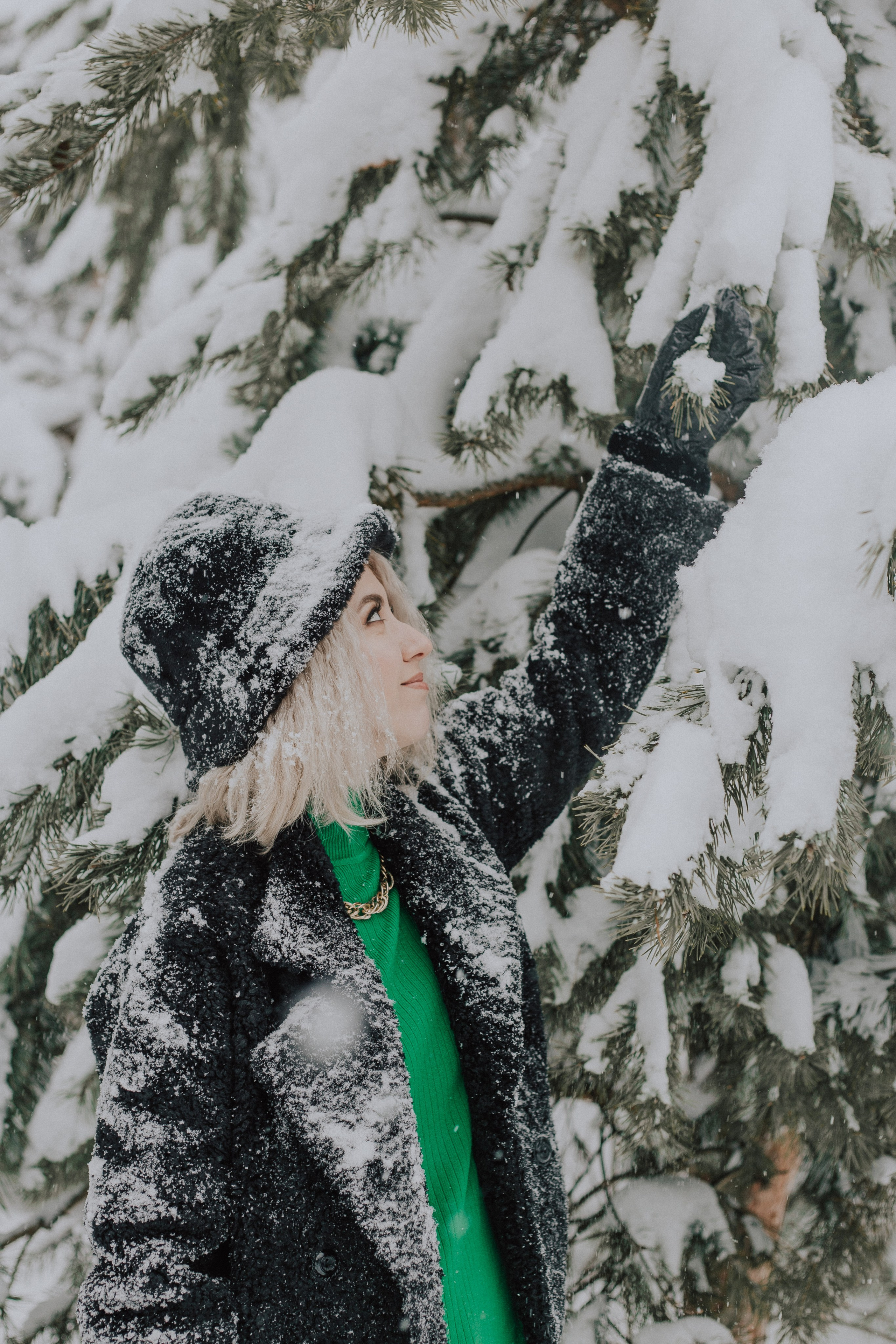 Winter. «A pet». Фотограф Москва / Балашиха